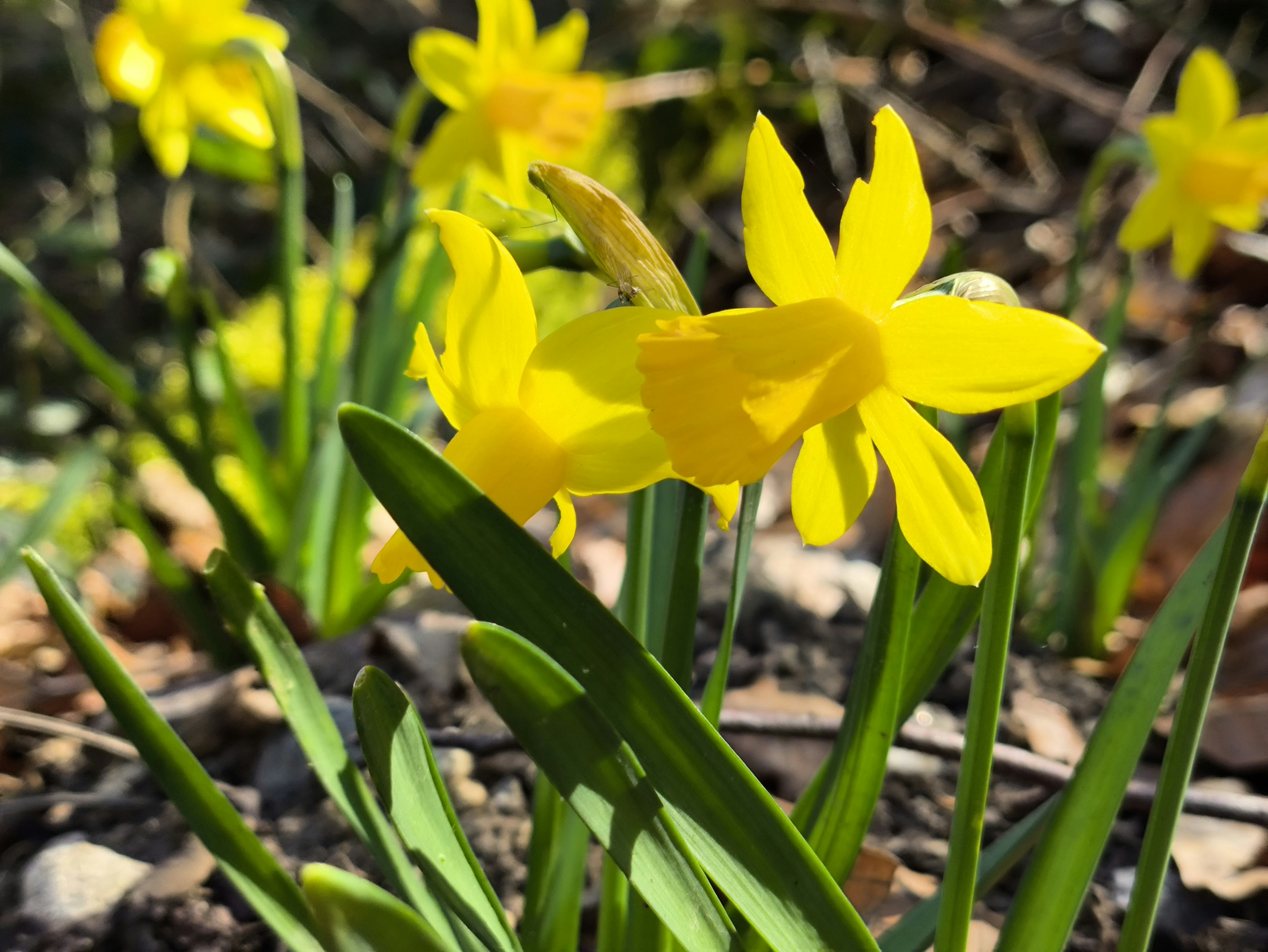 photo-1746905353256-7a892e483cf8?ixid=M3wxMjA3fDB8MXxzZWFyY2h8OHx8c3ByaW5nJTIwdG8lMjBsaWZlJTIwdXBkYXRlfGVufDB8fHx8MTc2MjY2MjUyOXww\u0026ixlib=rb-4.1.0