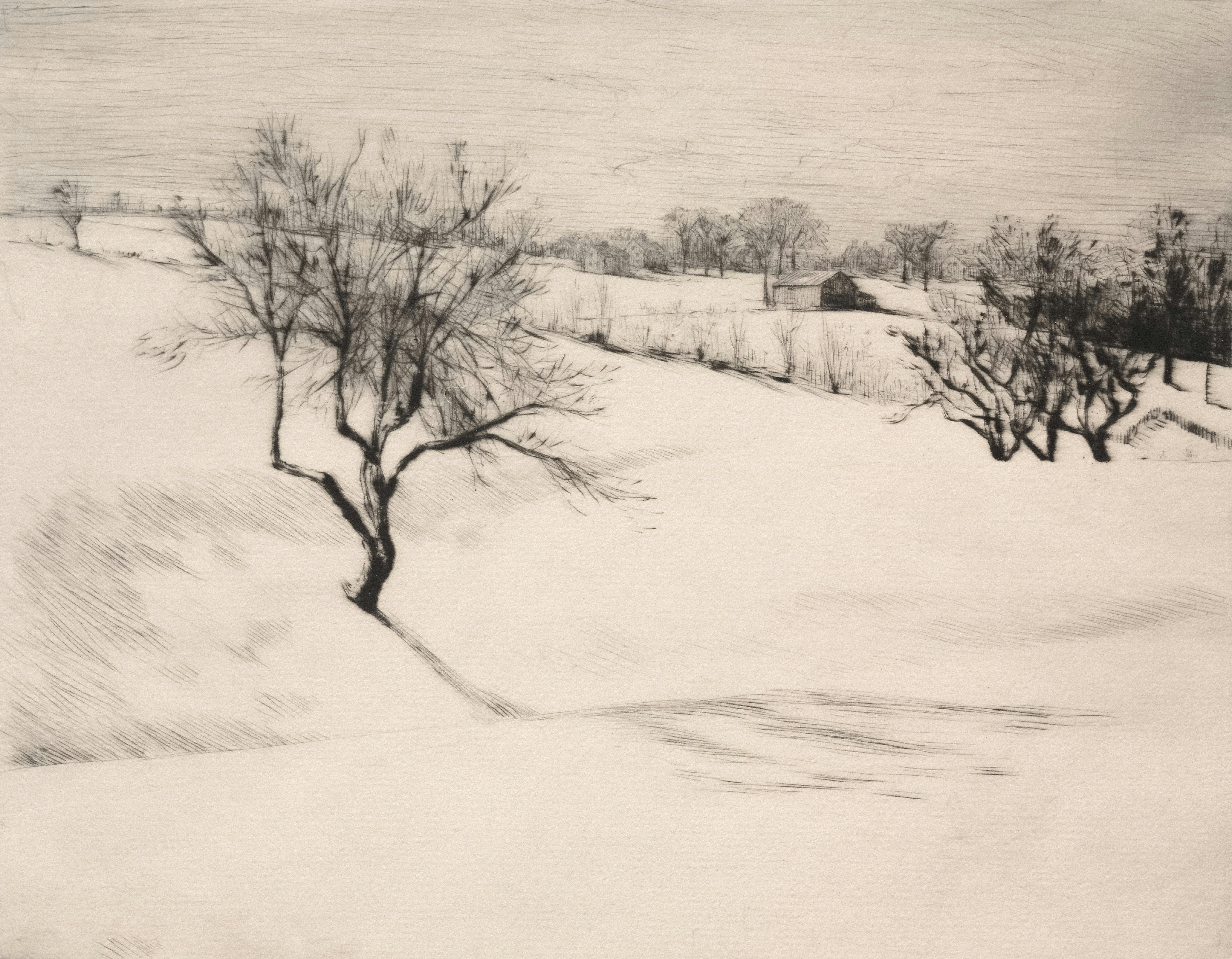 Photo by clevelandart