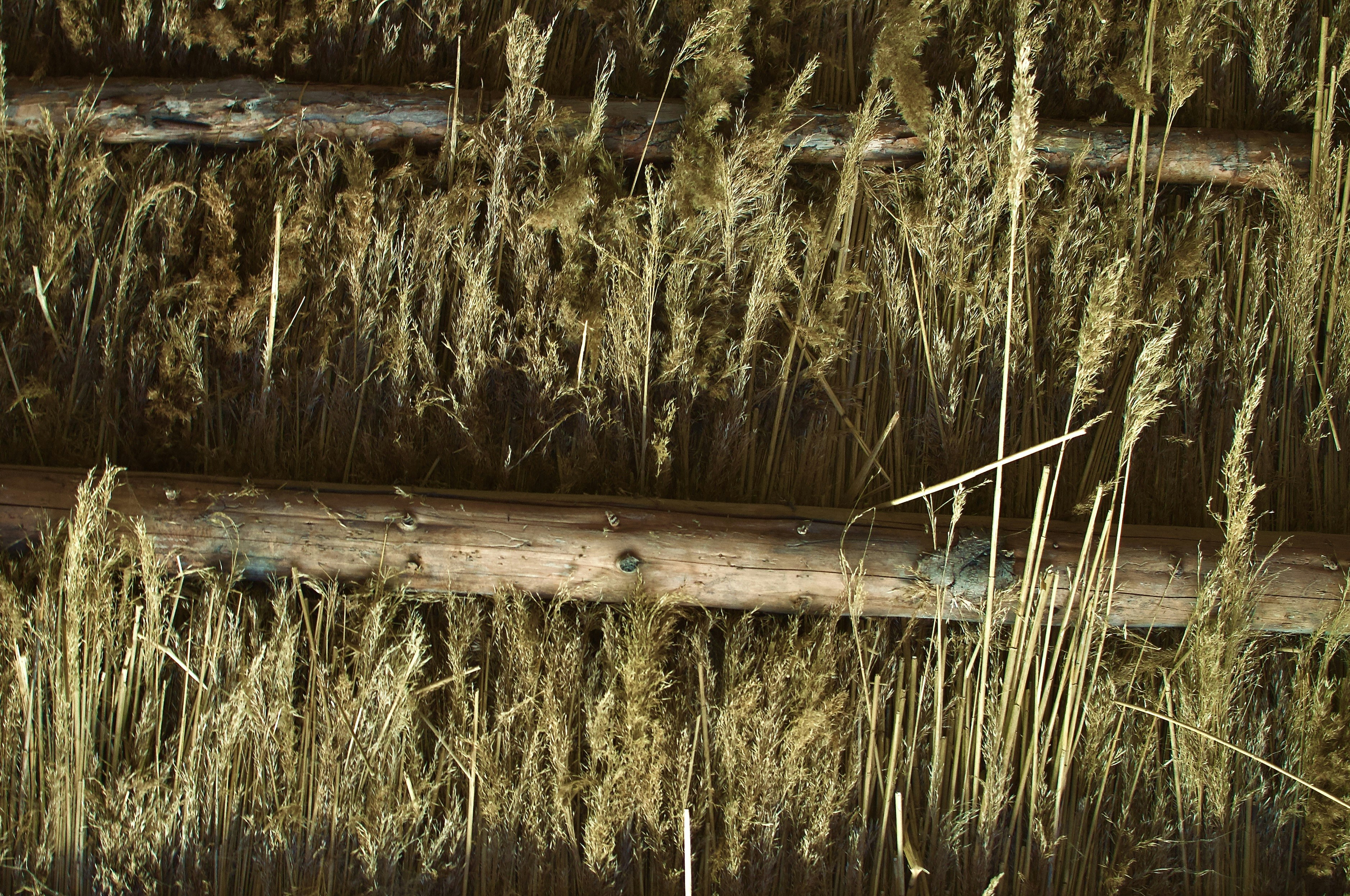 Hemp Quality Testing