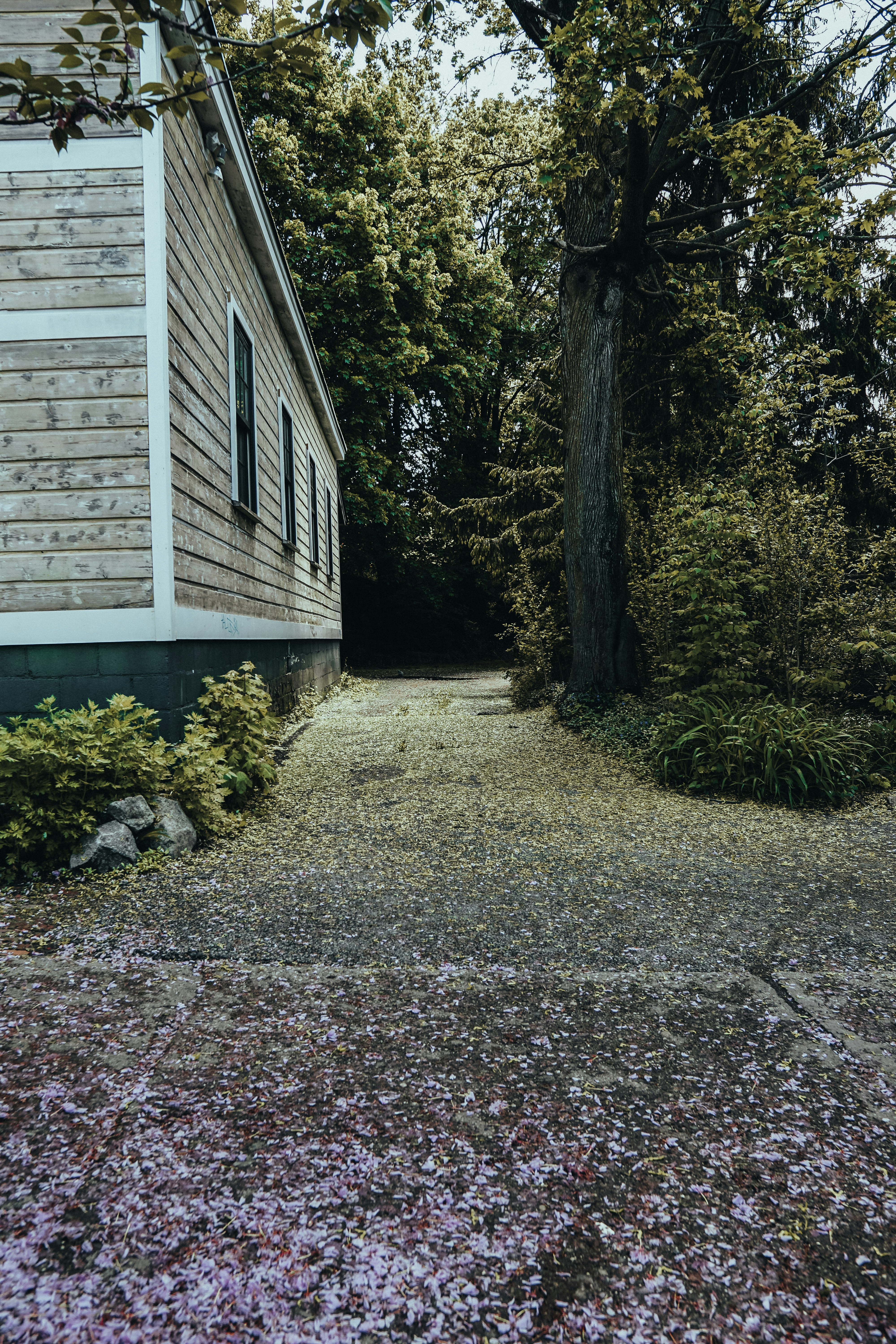 A house stands beside a leaf-covered path.
