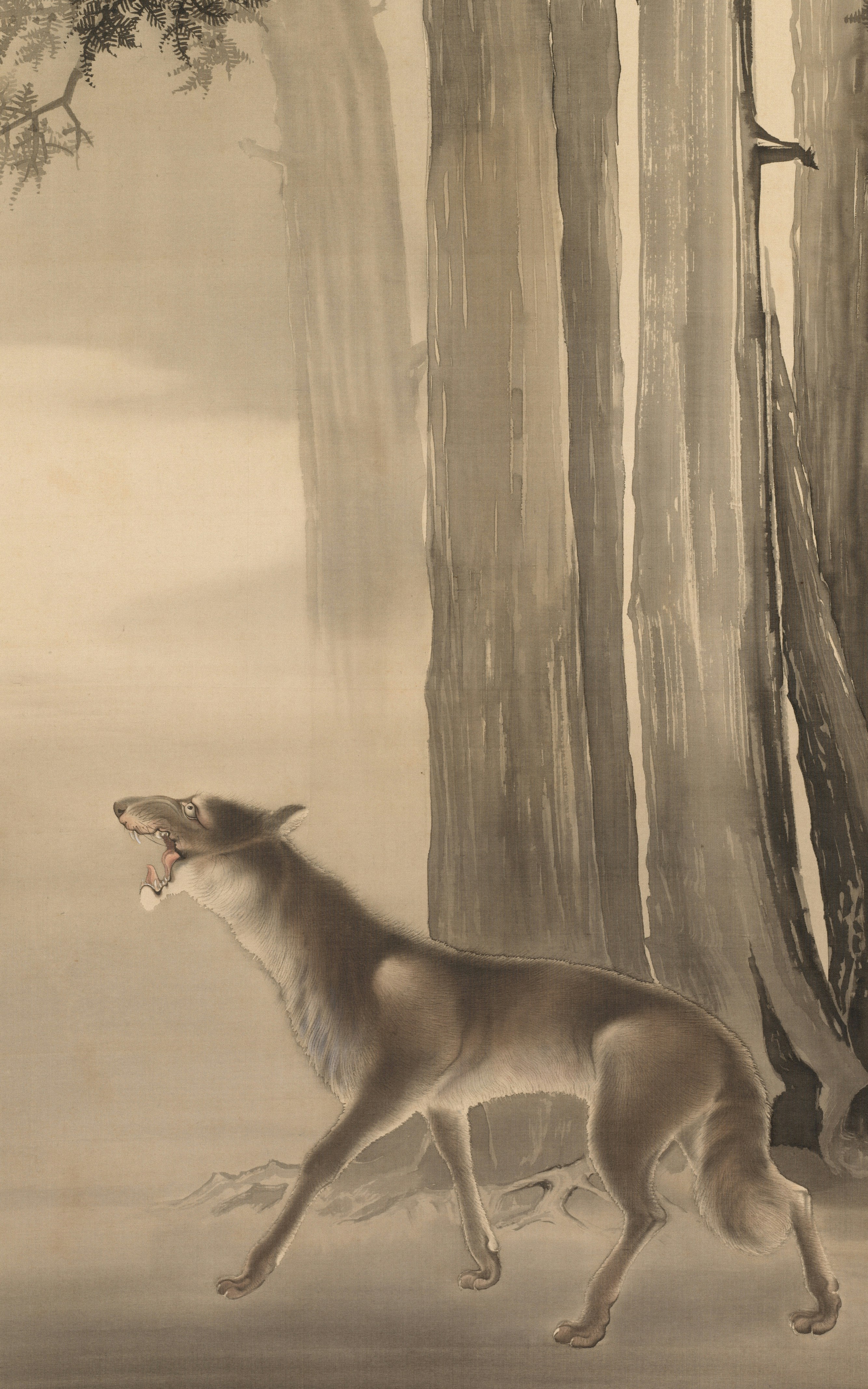 A wolf howling in a misty forest with tall trees.