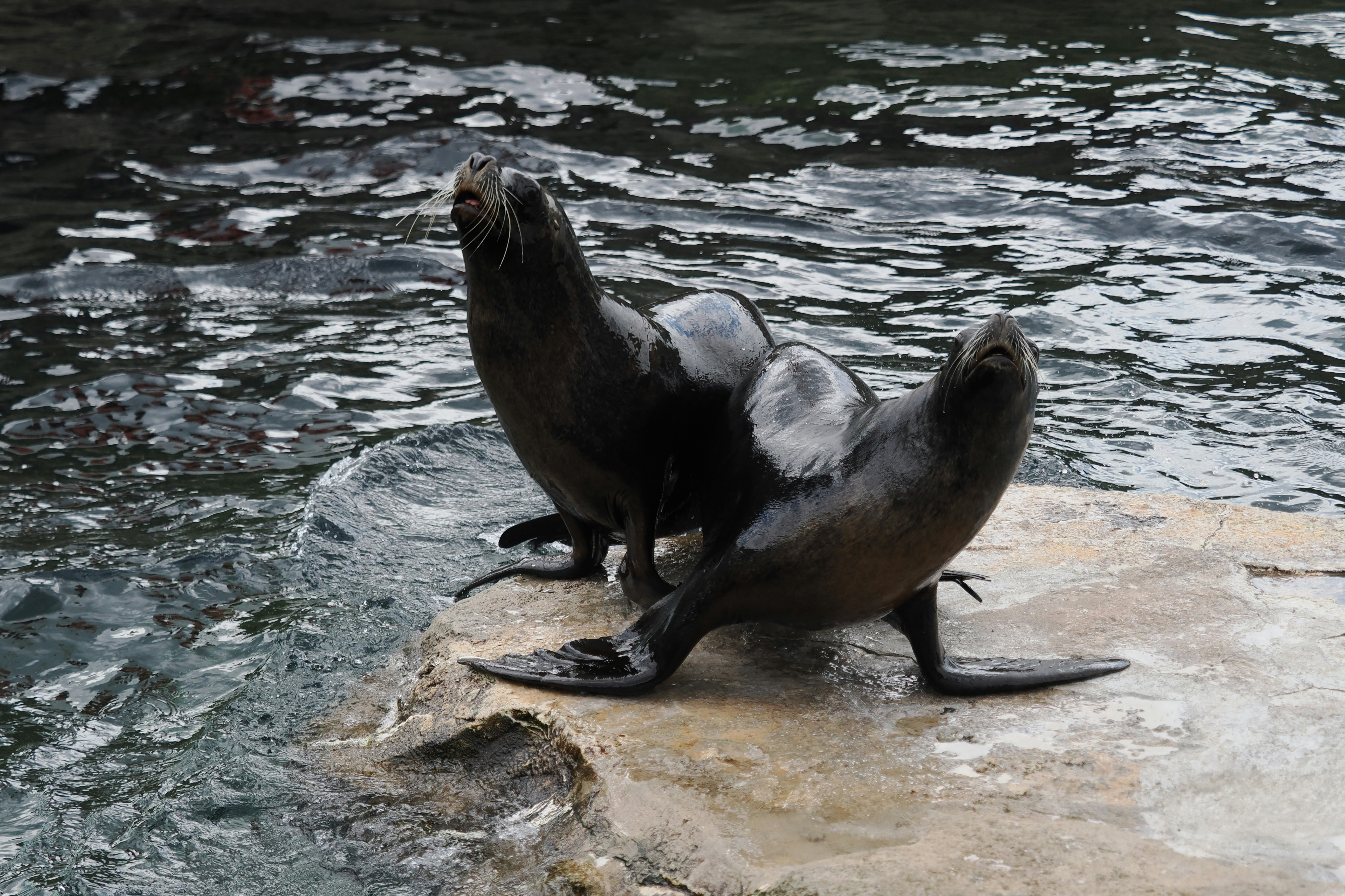 Photo by fotografie_thomas_nolte