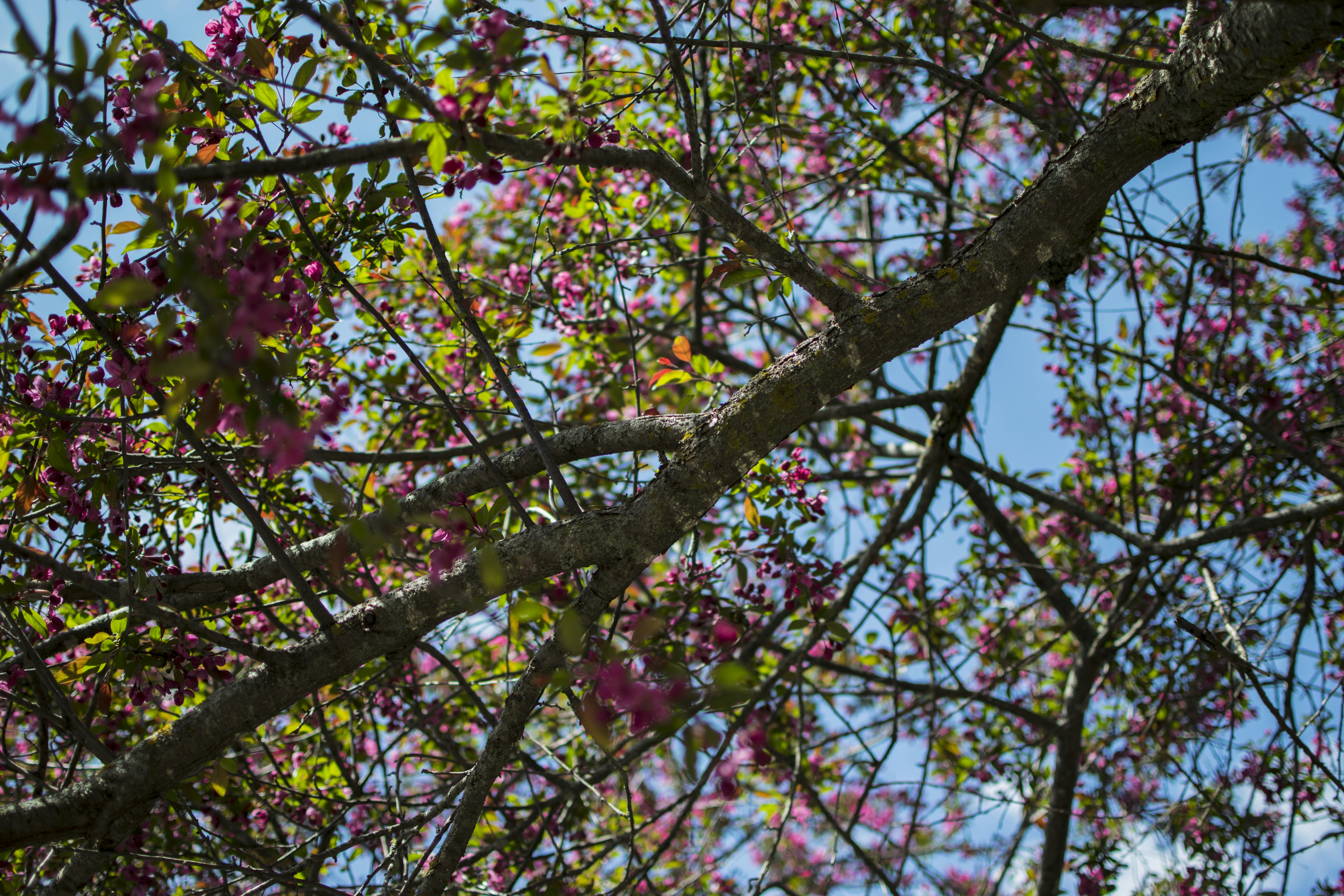 Photo by pinjasaur