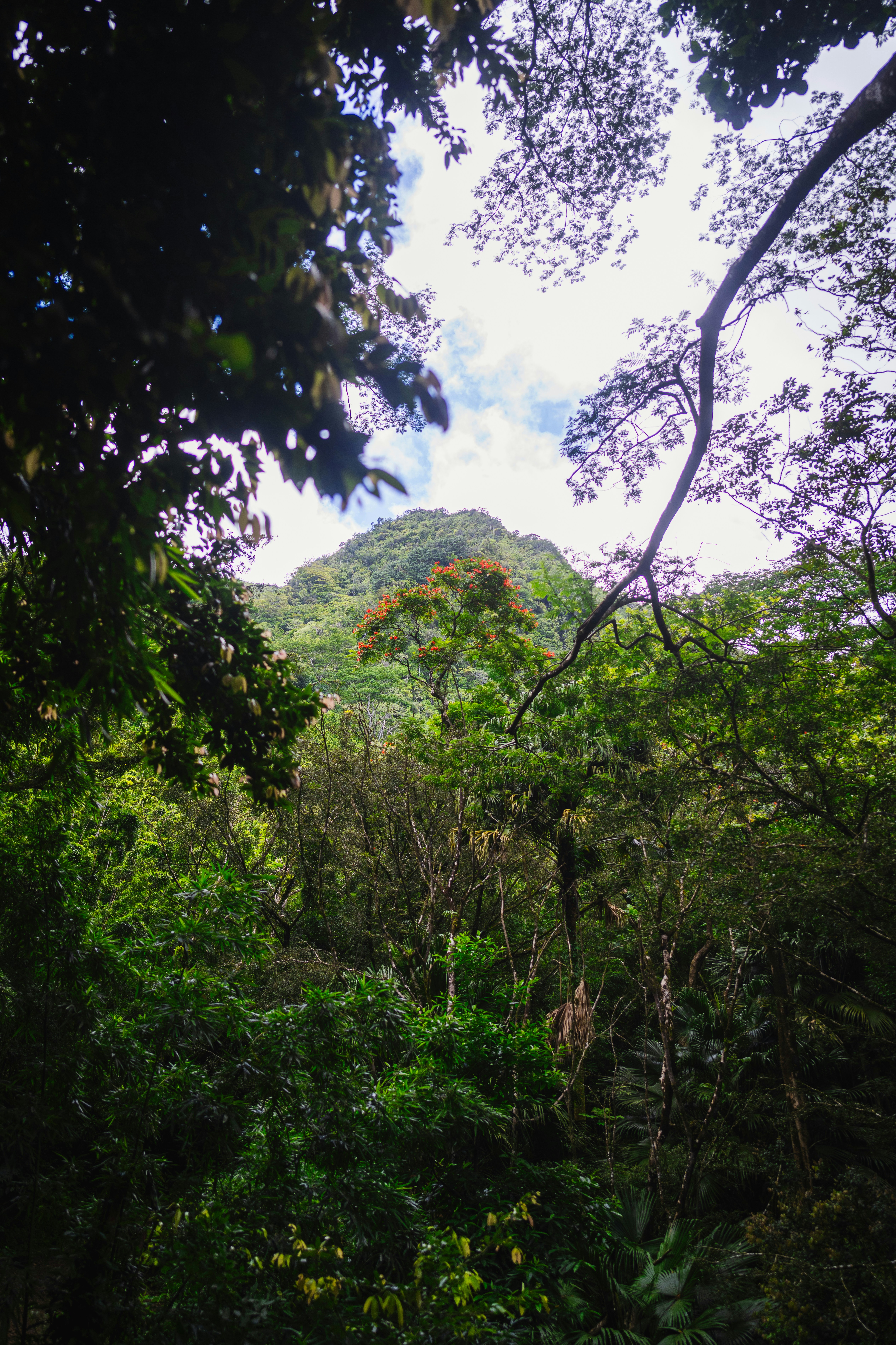 Photo by imsimplysamuel