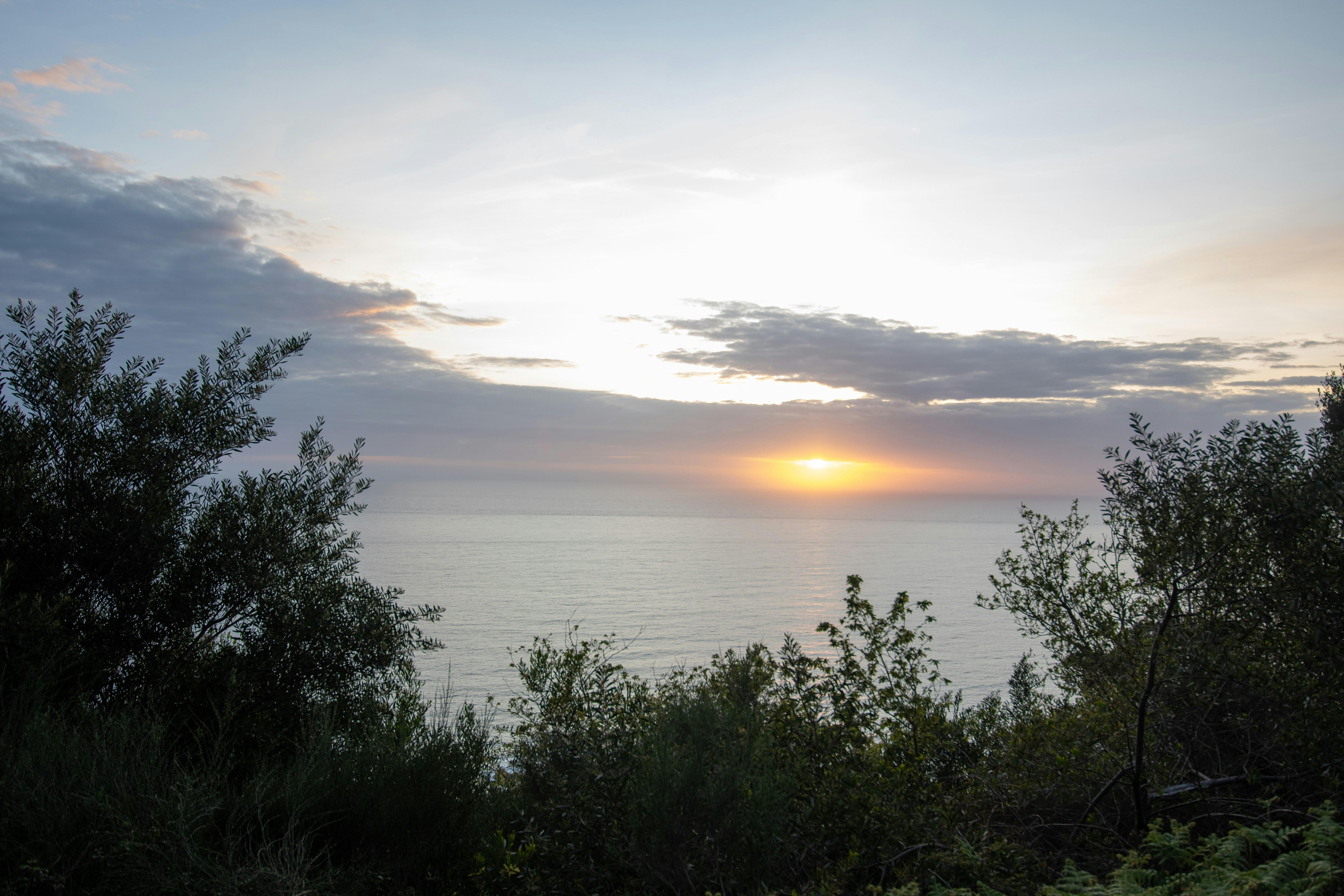 Photo by nataliaraylenegusakova