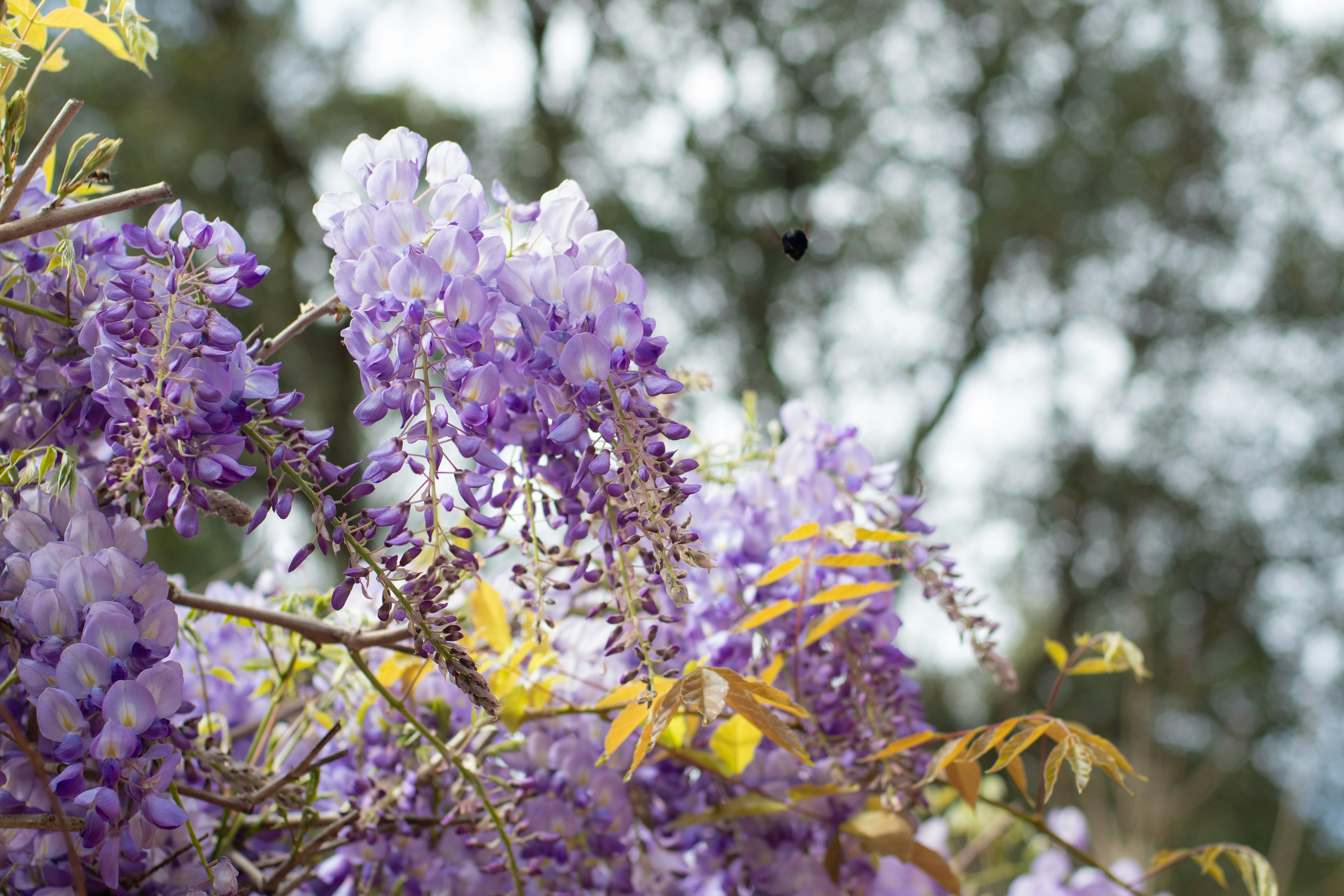 Photo by nataliaraylenegusakova