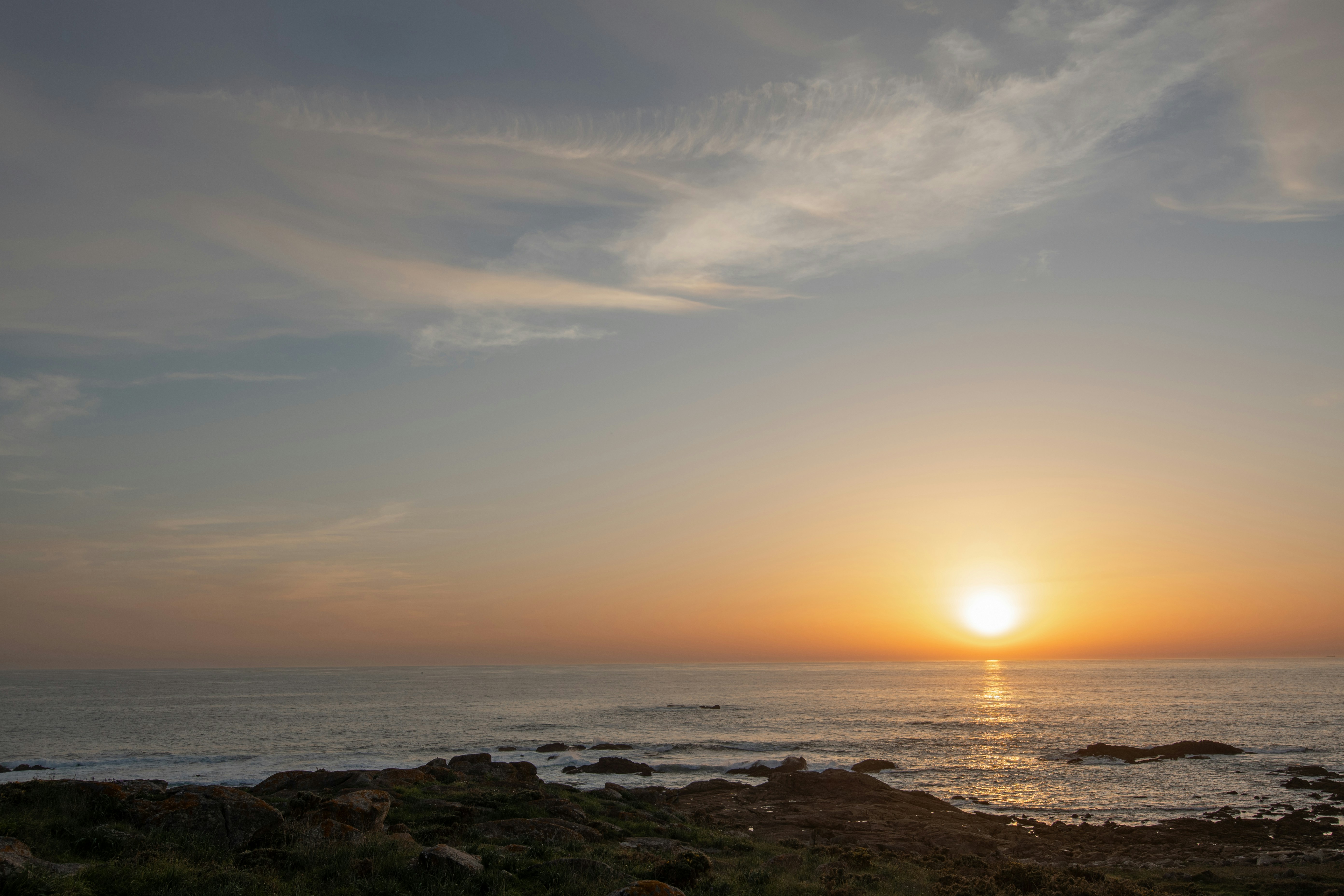 Photo by nataliaraylenegusakova