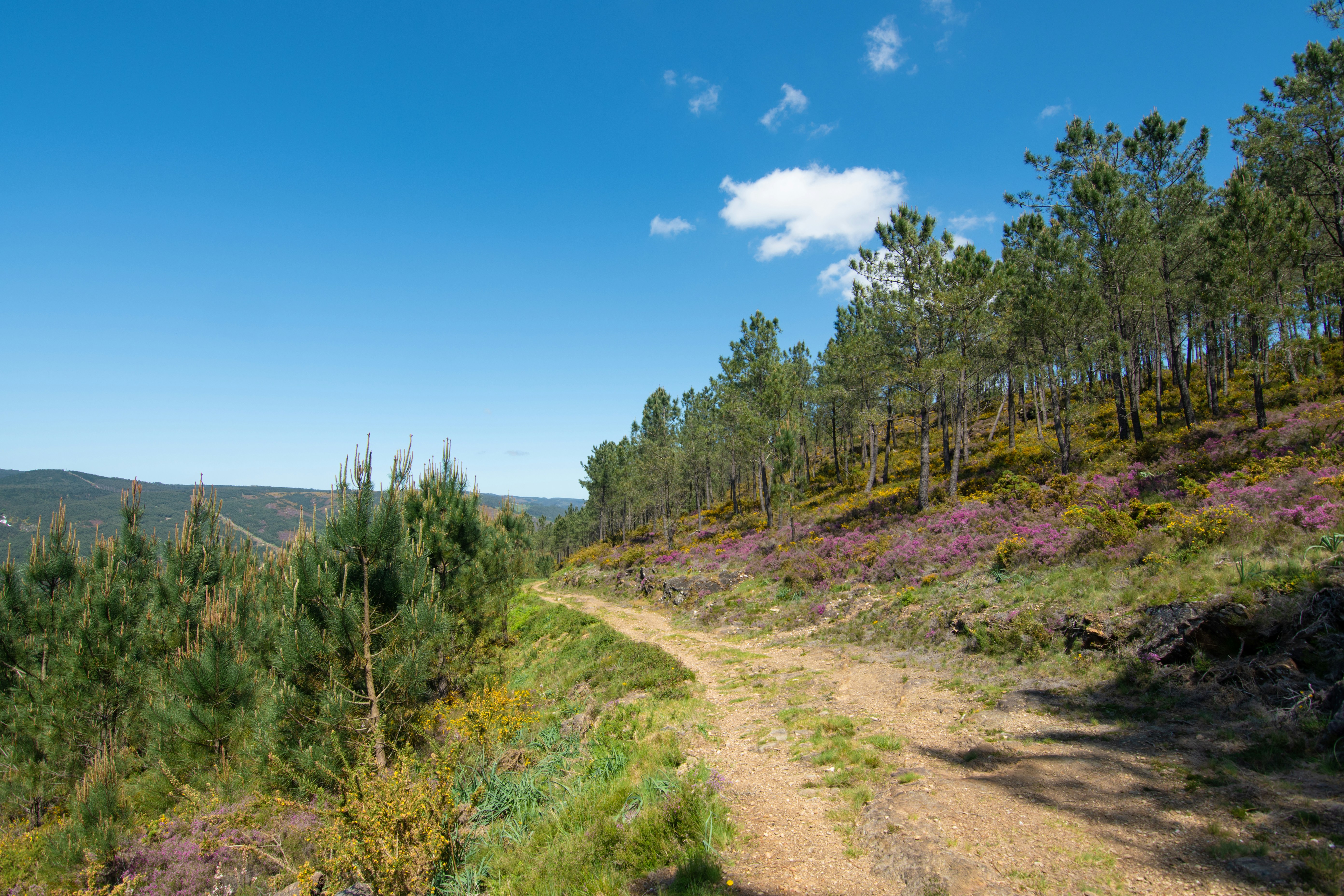 Photo by nataliaraylenegusakova