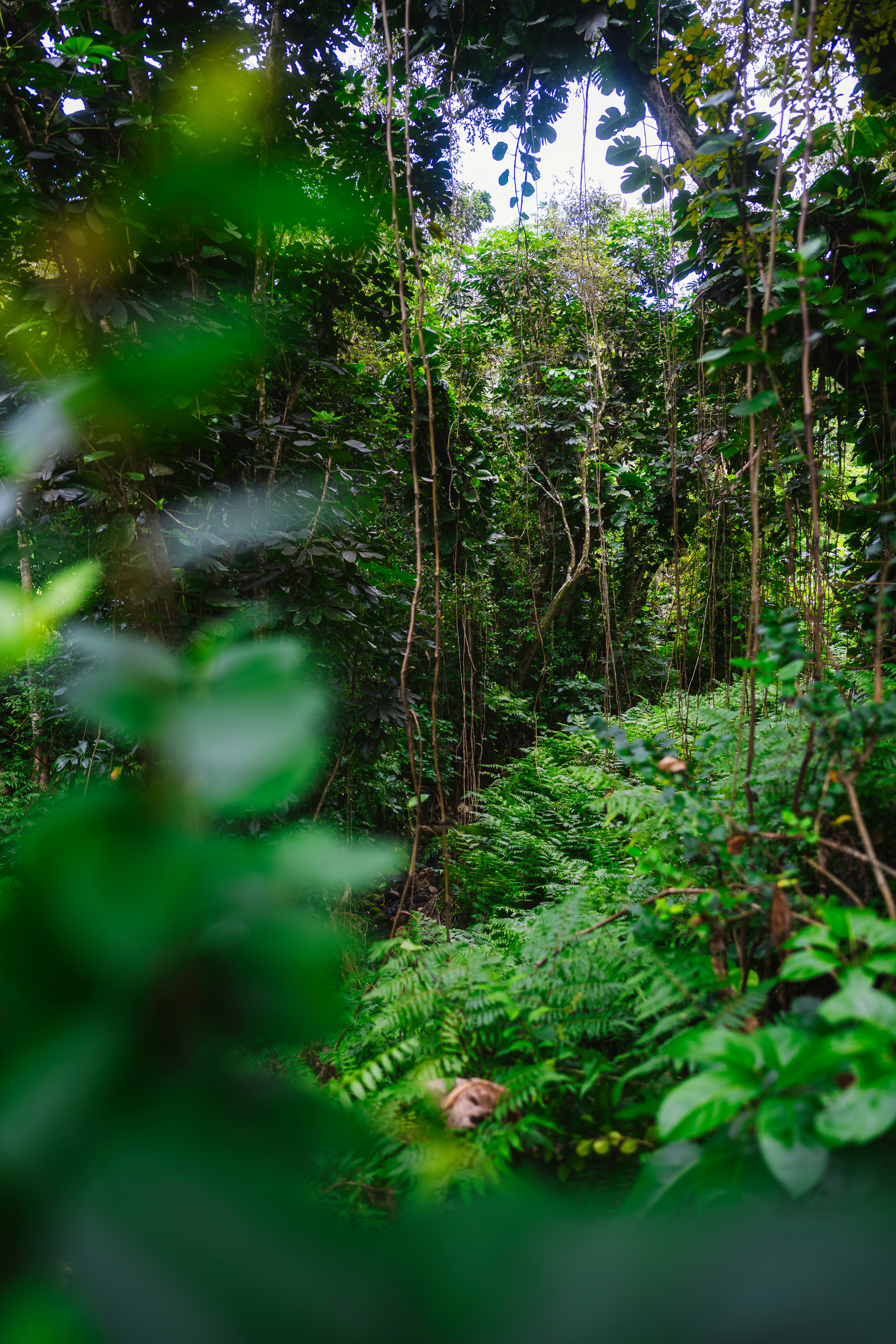 Photo by imsimplysamuel