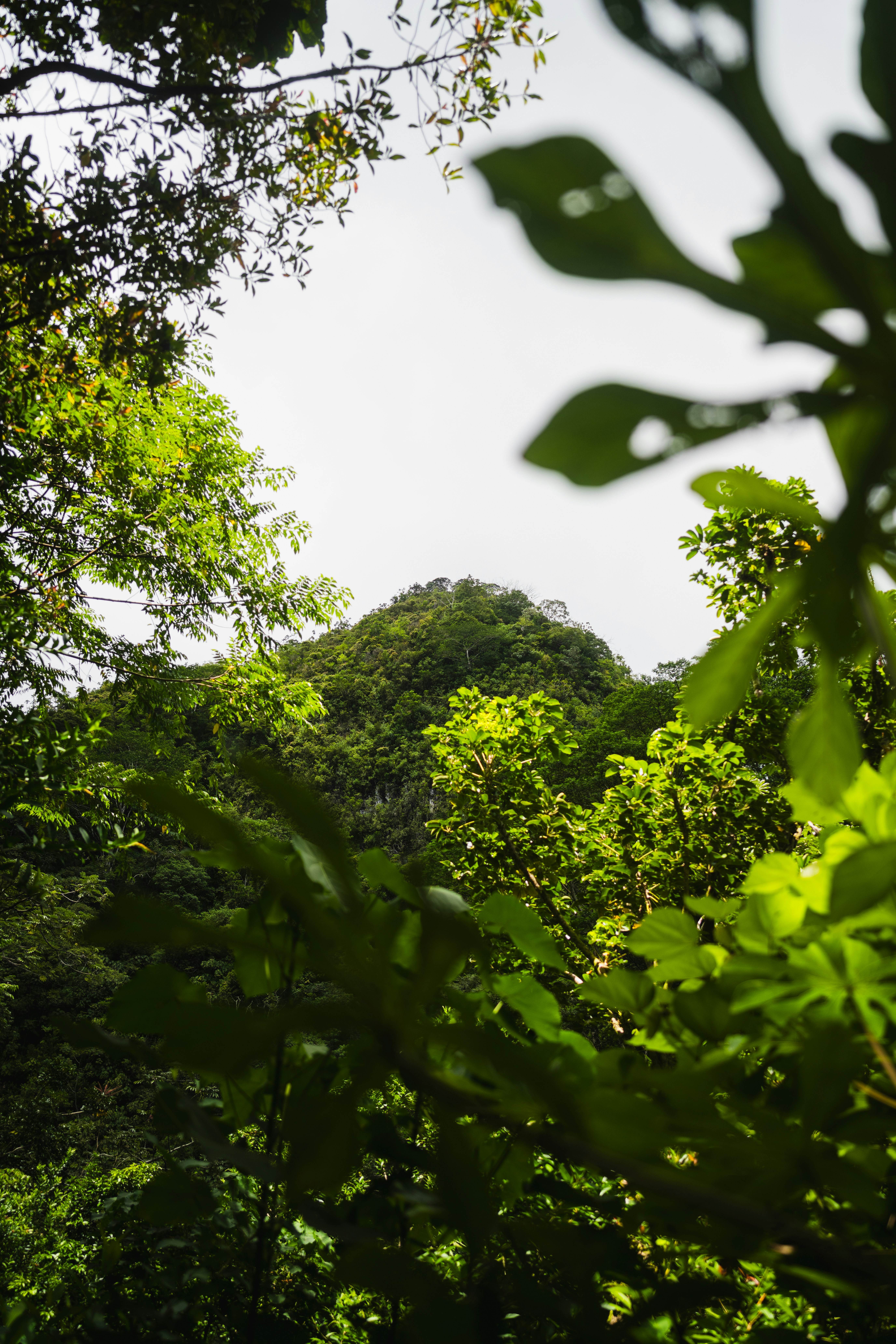 Photo by imsimplysamuel