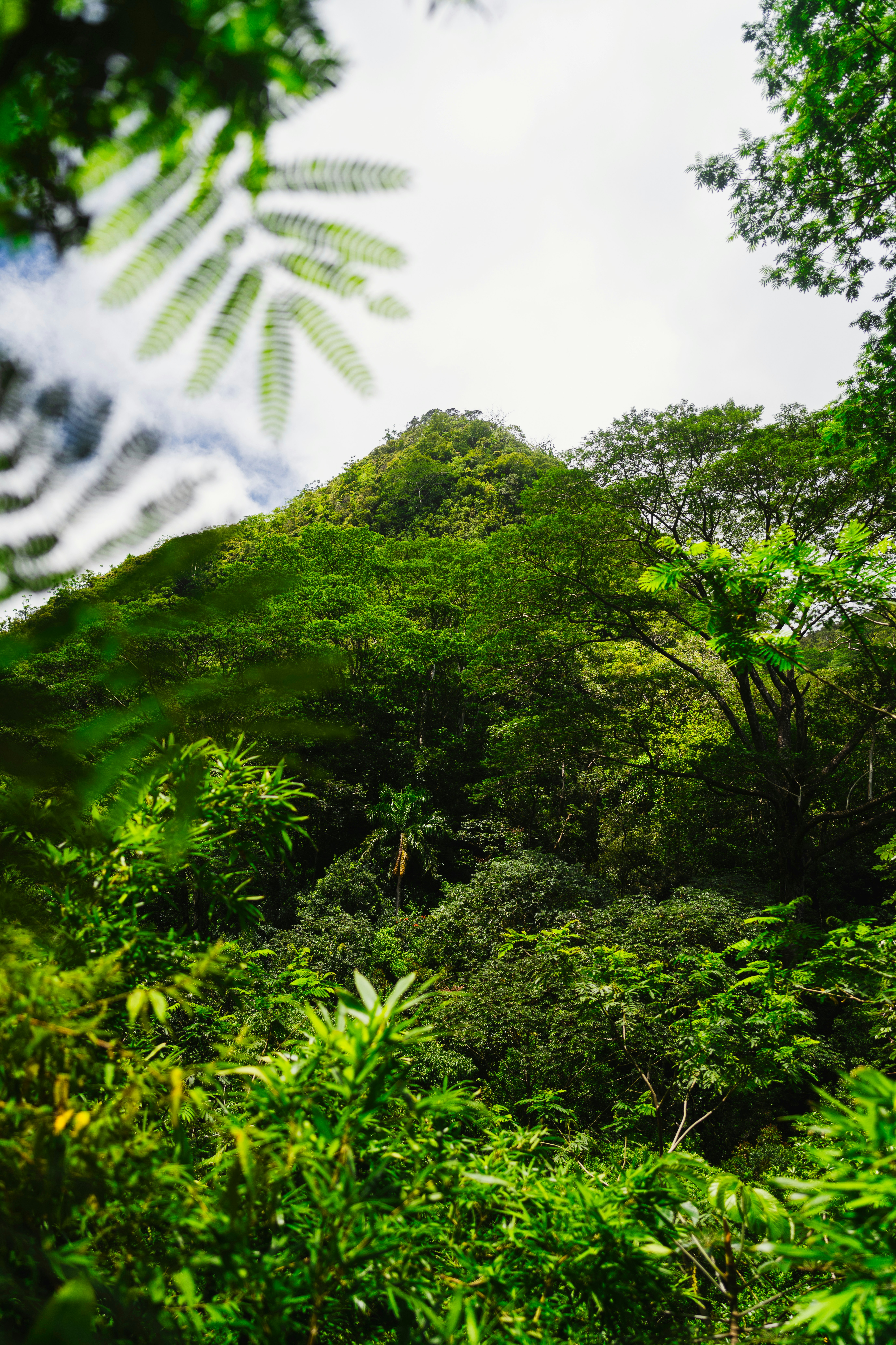 Photo by imsimplysamuel