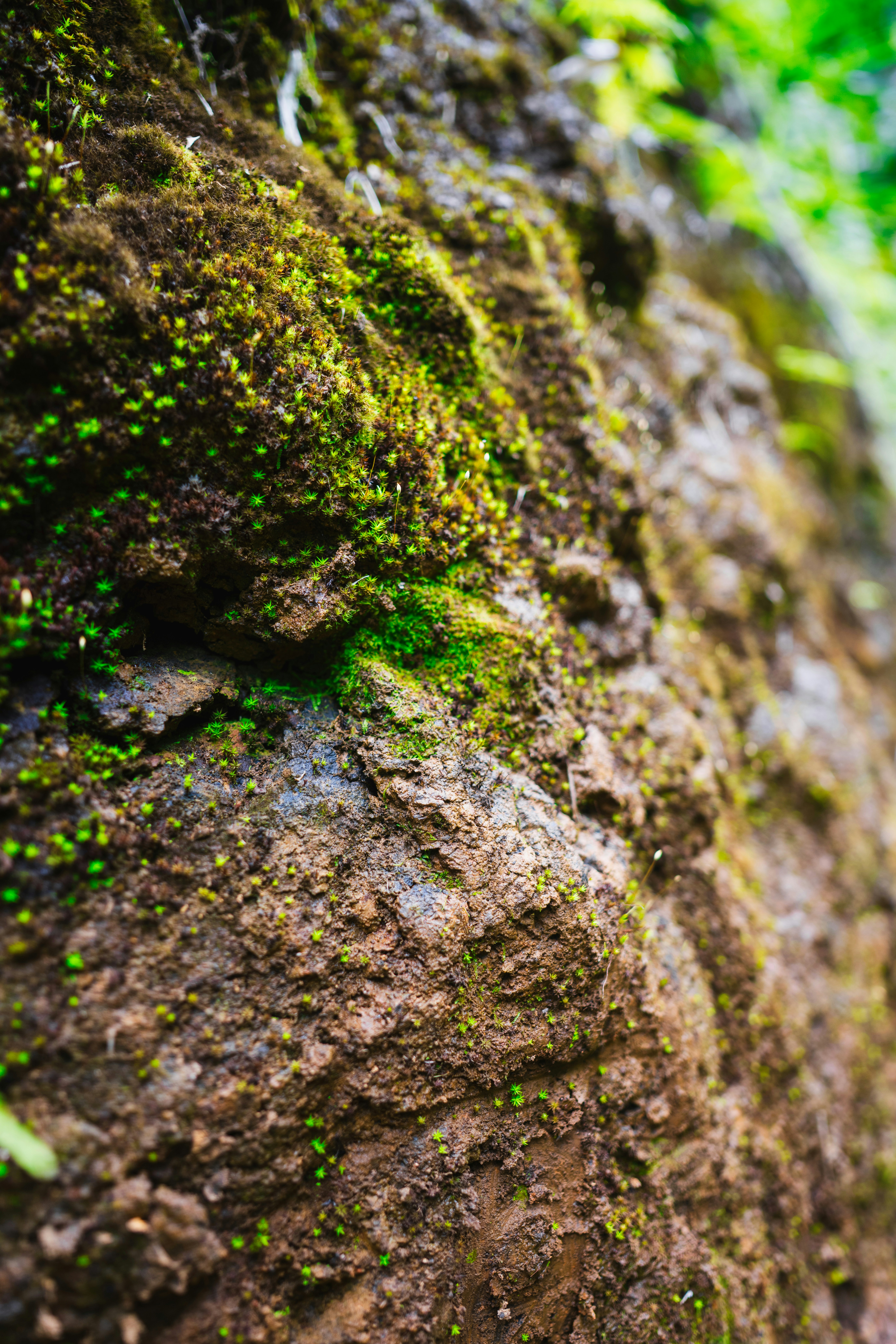 Photo by imsimplysamuel