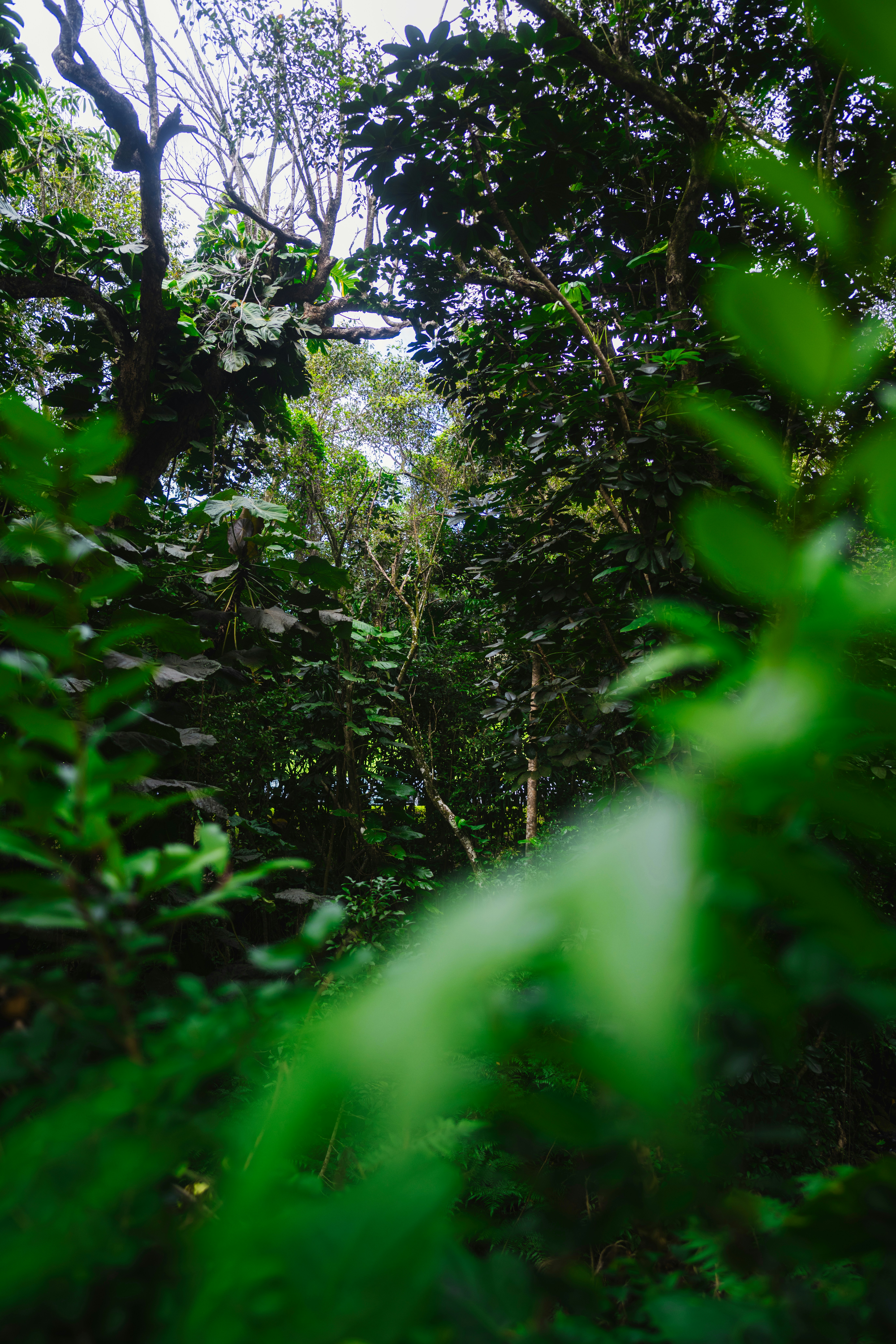 Photo by imsimplysamuel