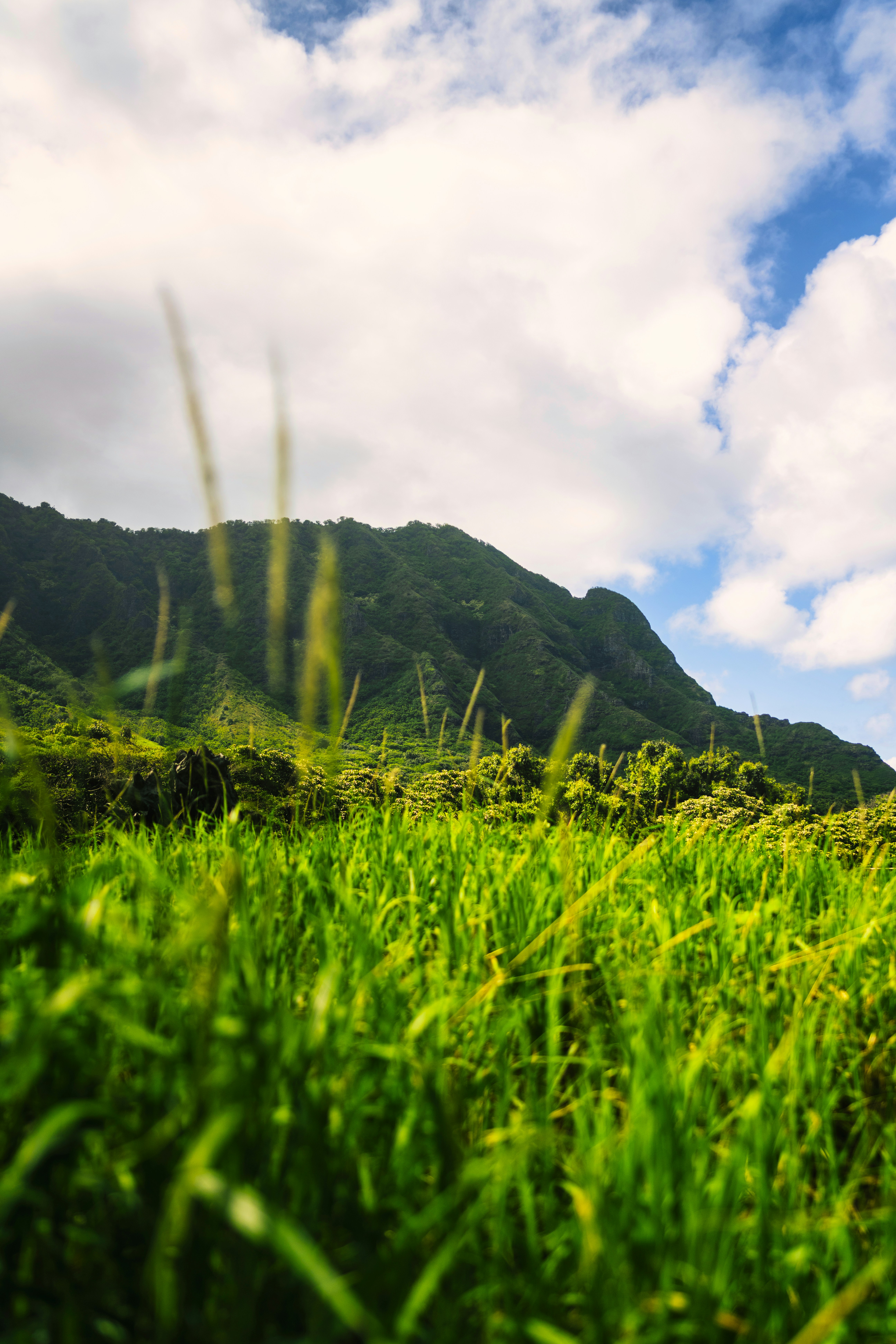 Photo by imsimplysamuel