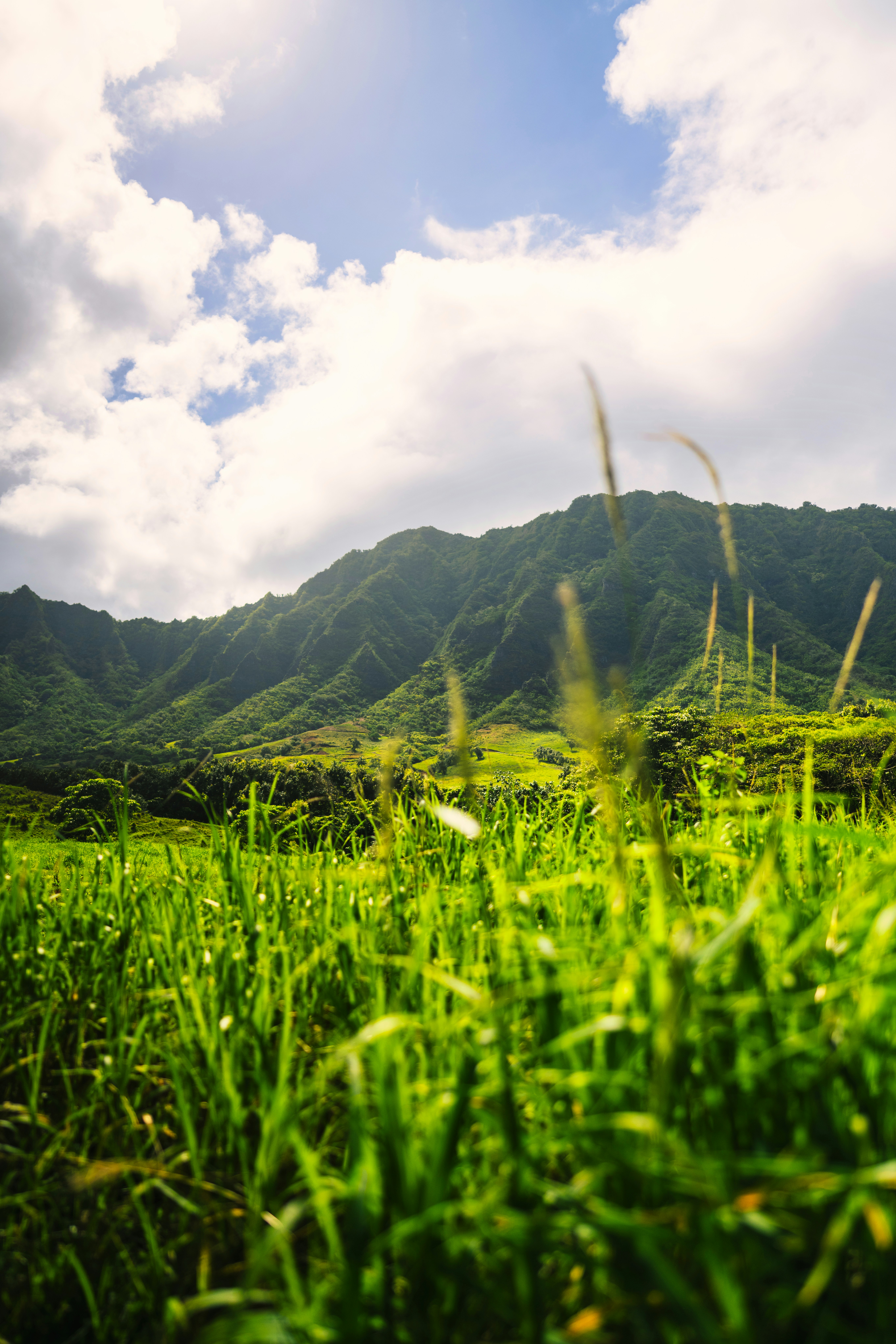 Photo by imsimplysamuel