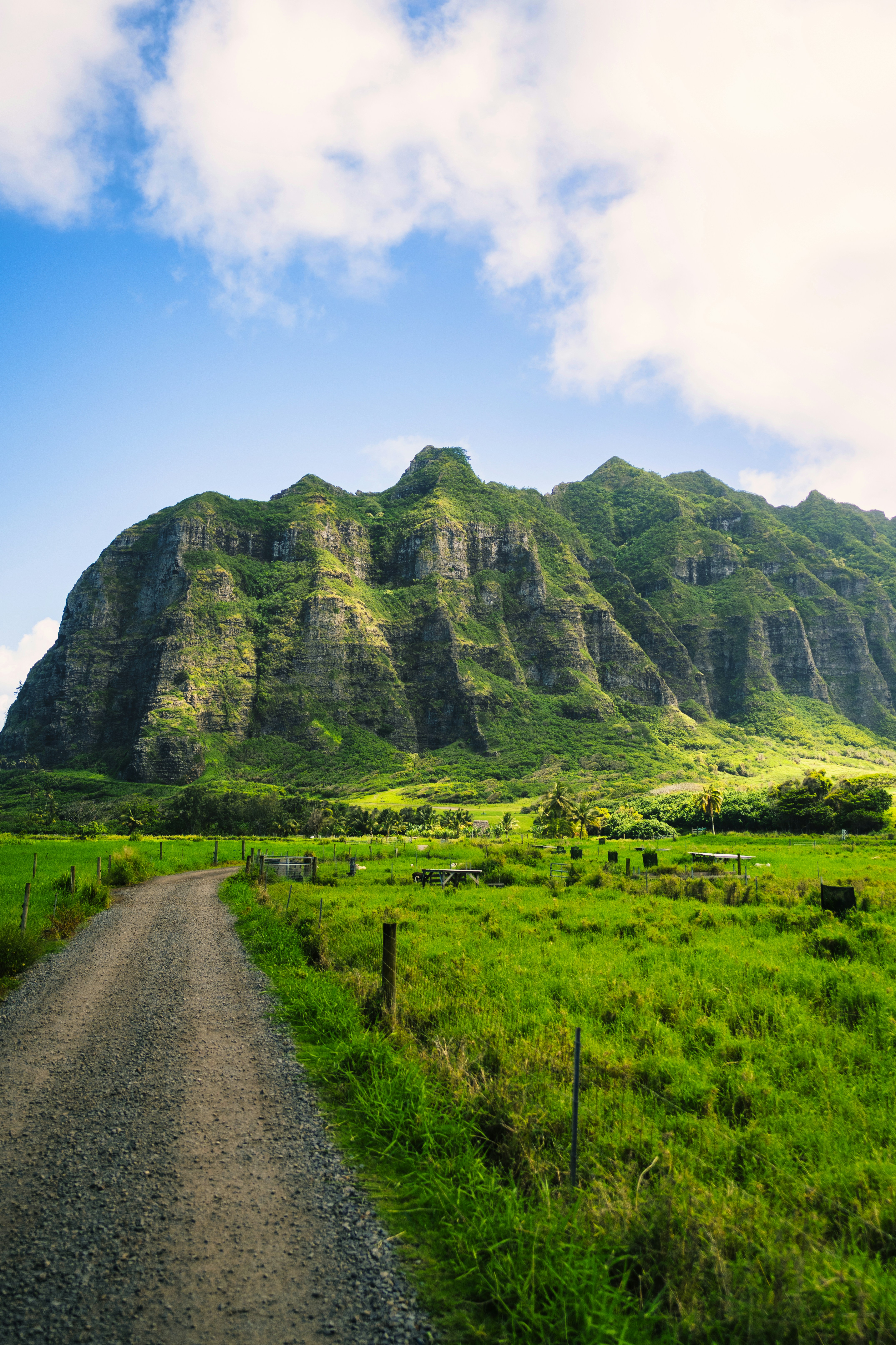 Photo by imsimplysamuel