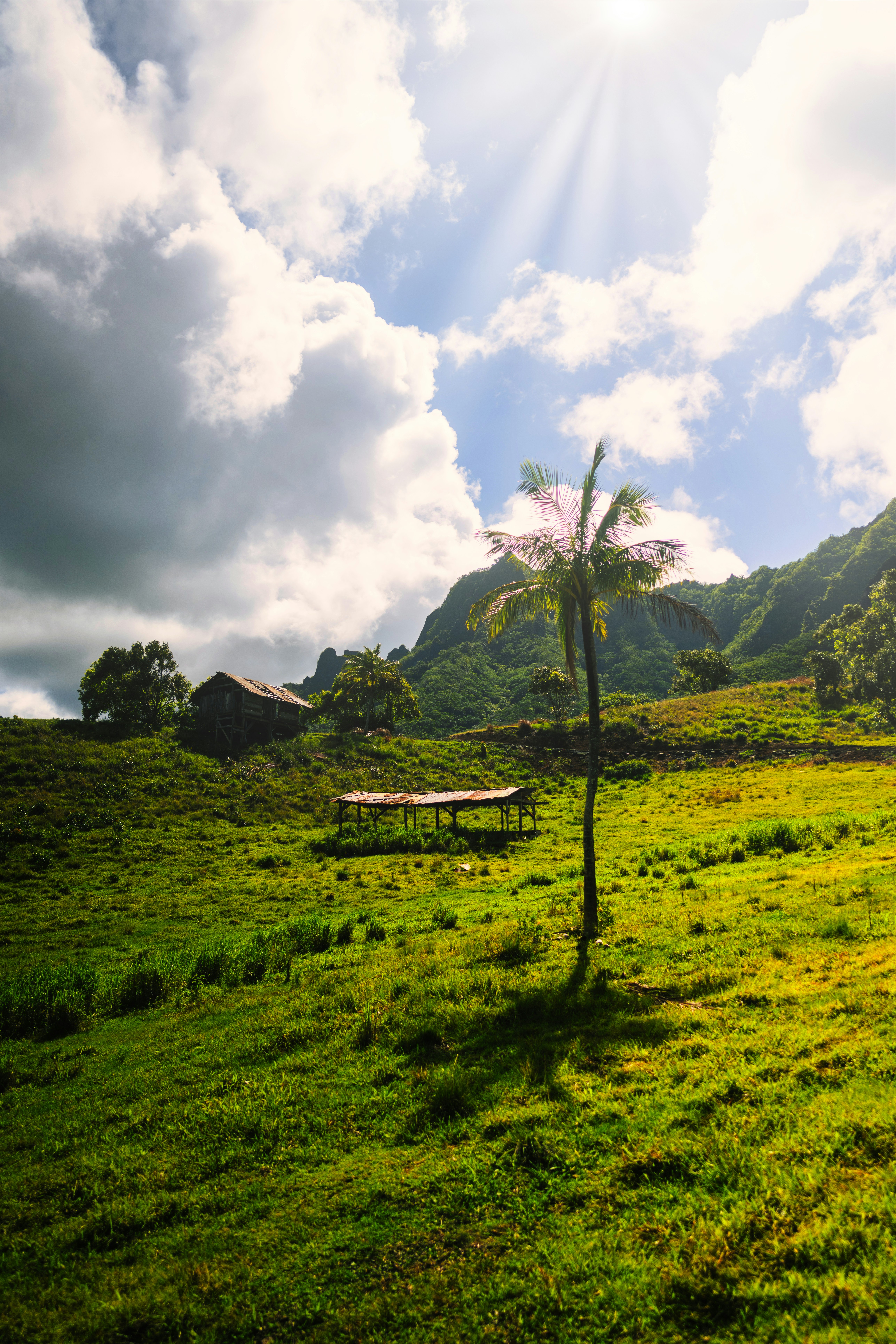 Photo by imsimplysamuel