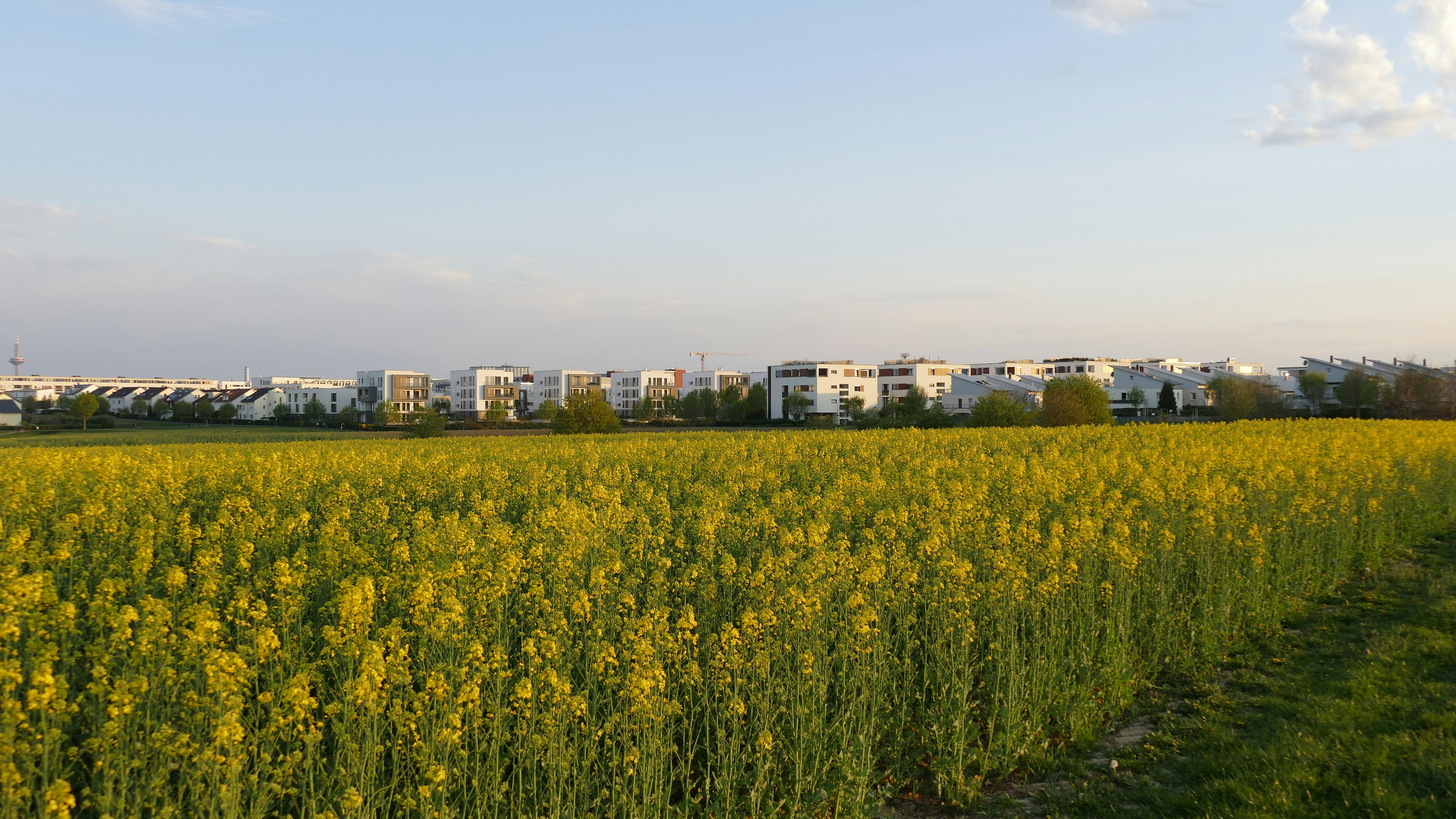 Image by CHOIE BYUNGSOO via Unsplash