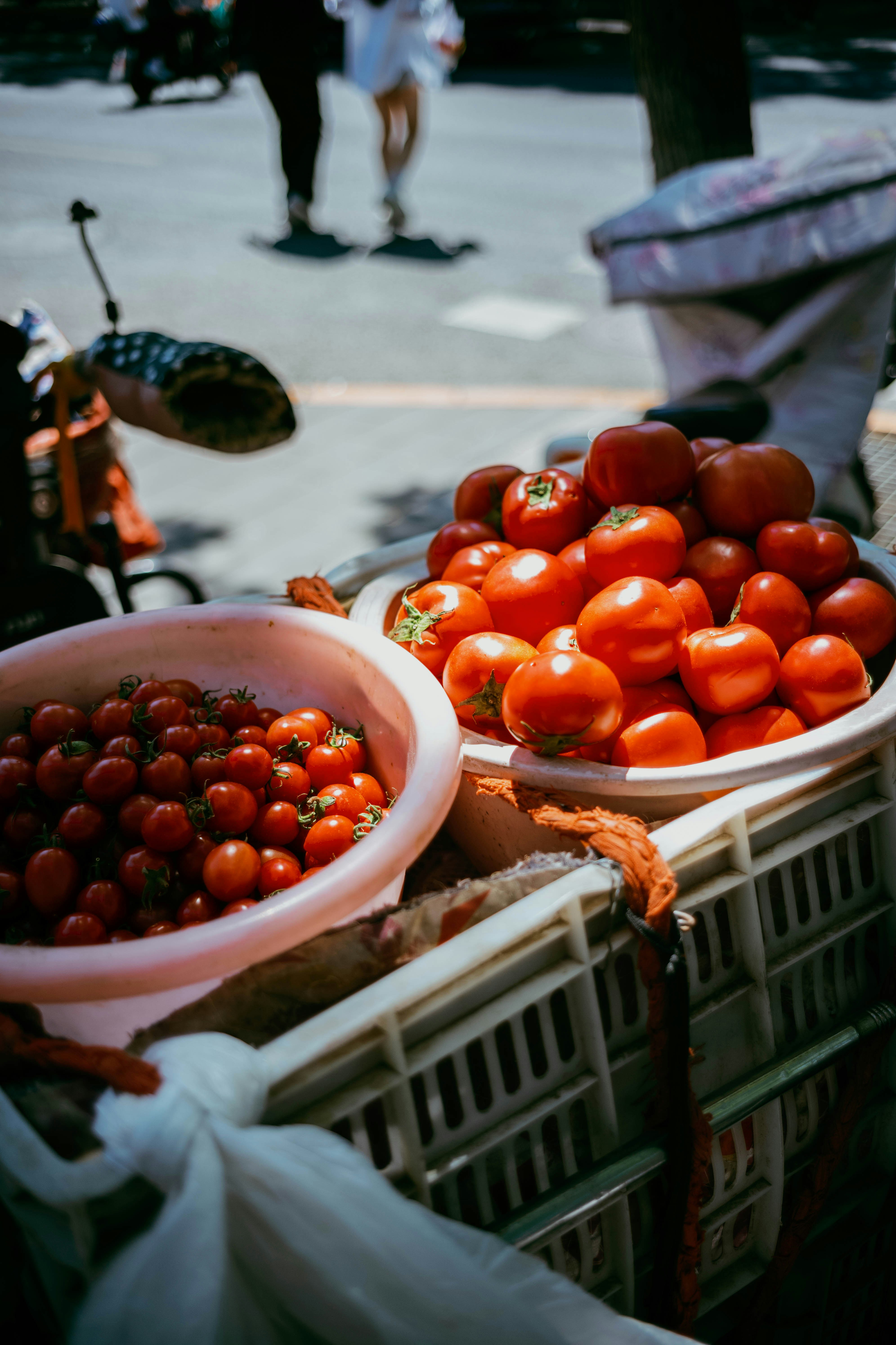 Photo by tommaomaoer