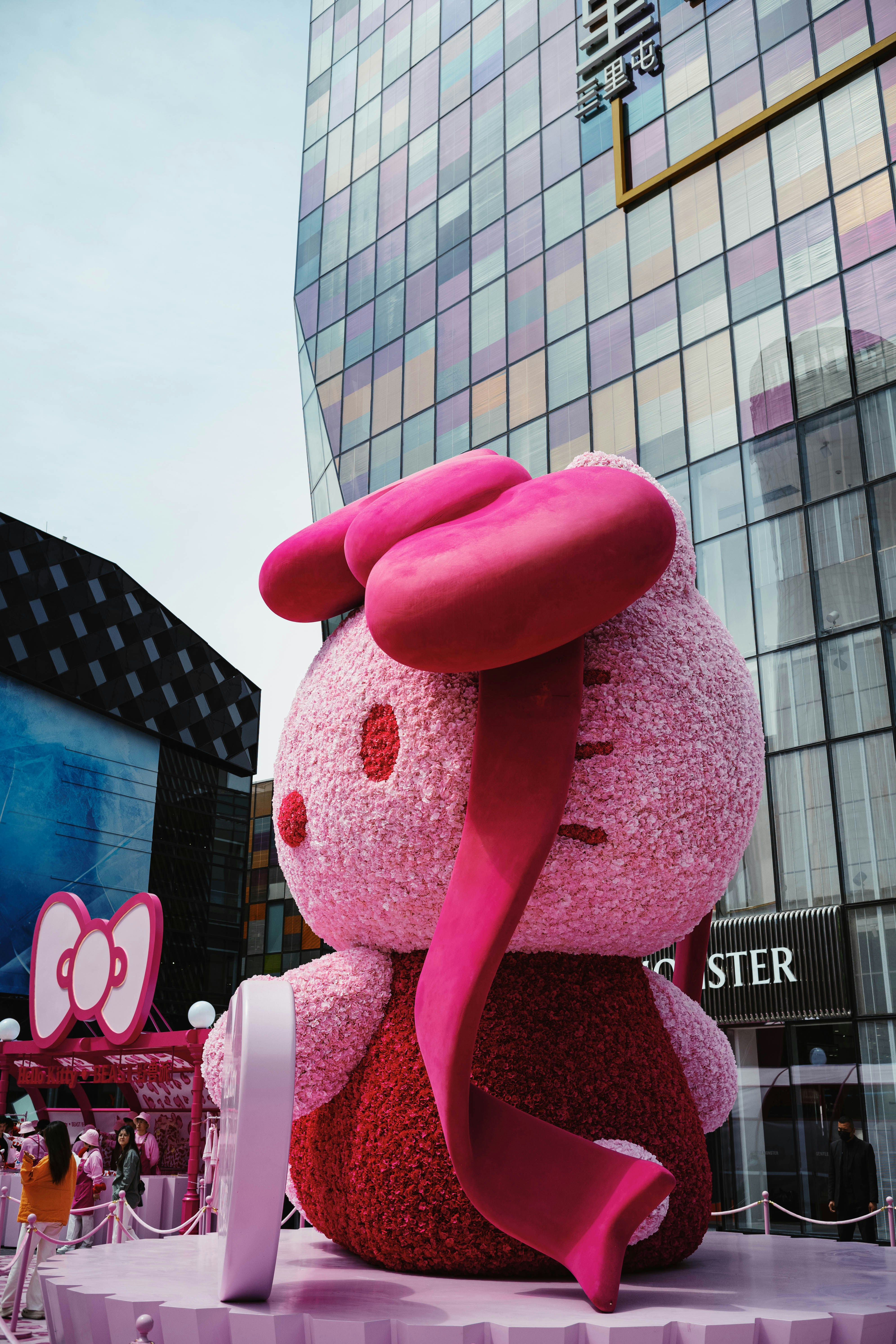 Photo by tommaomaoer