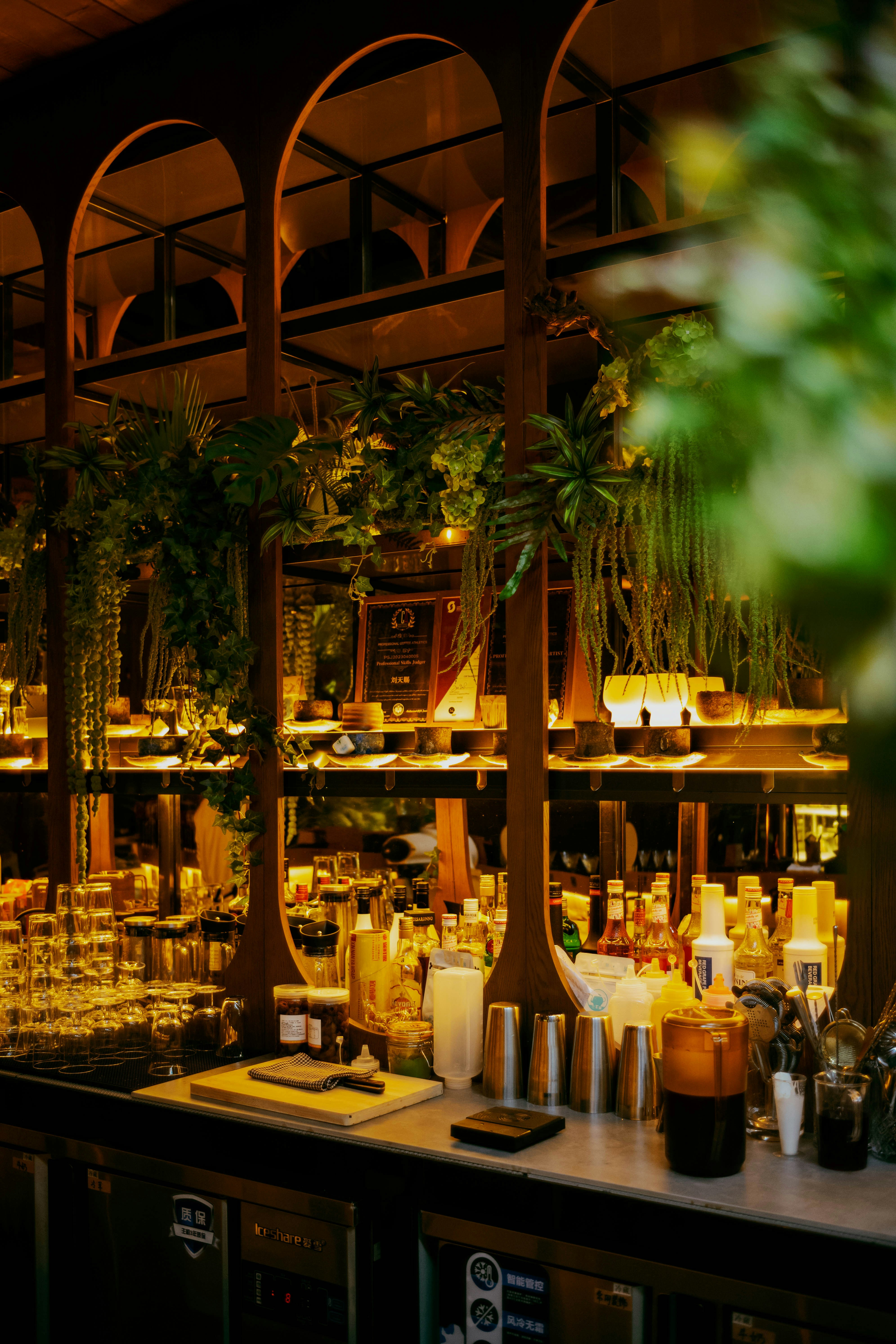 Photo by tommaomaoer