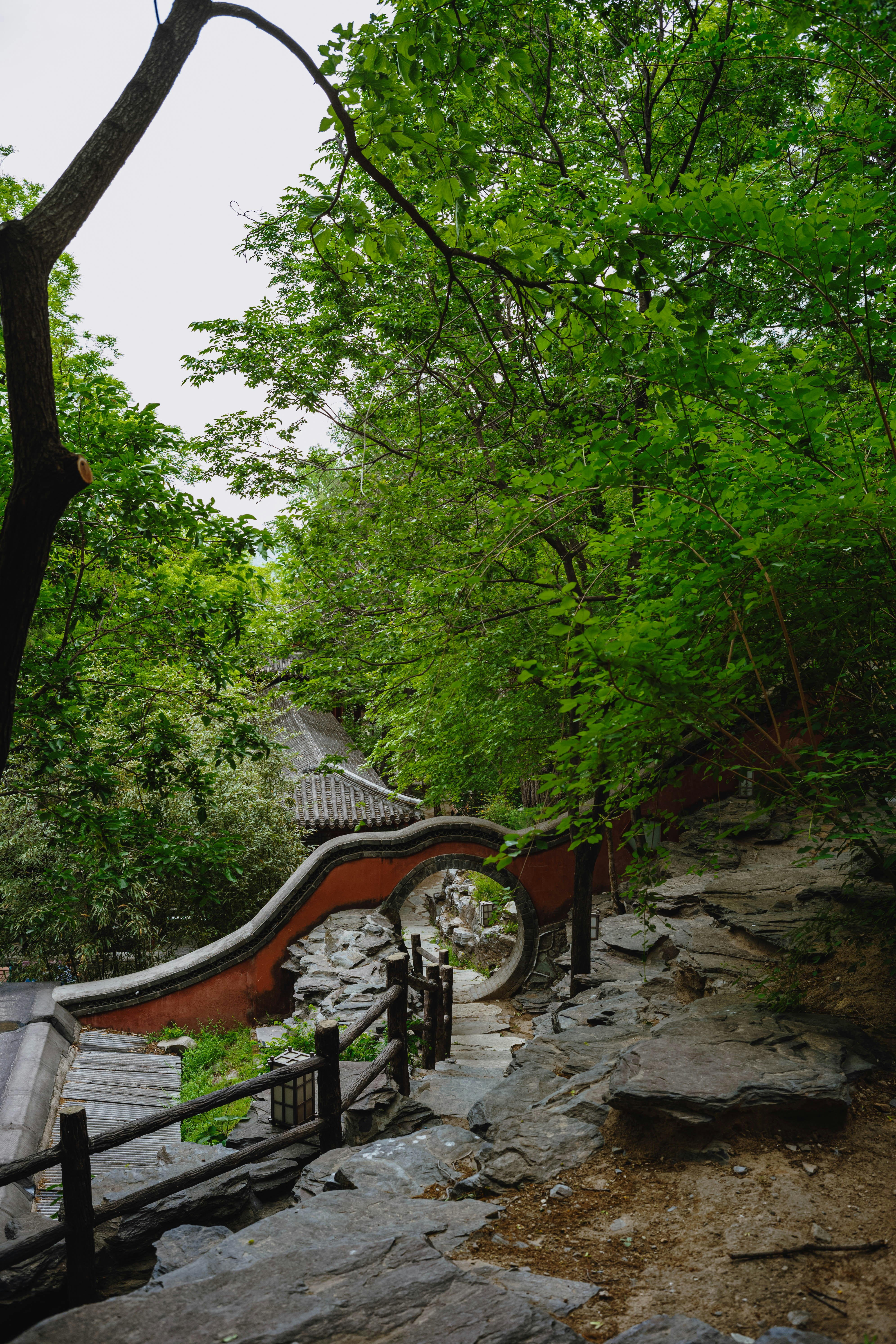 Photo by tommaomaoer