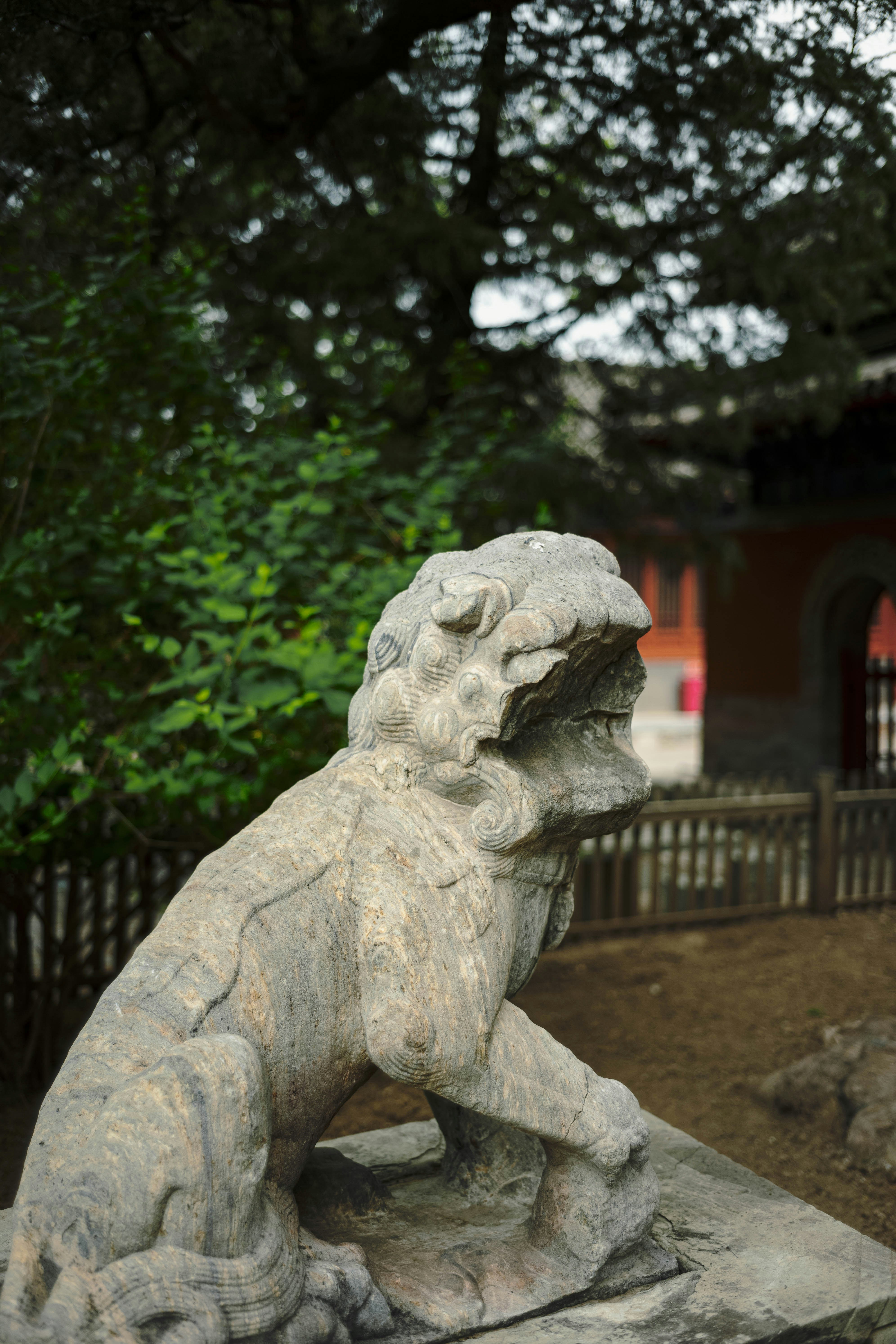 Photo by tommaomaoer