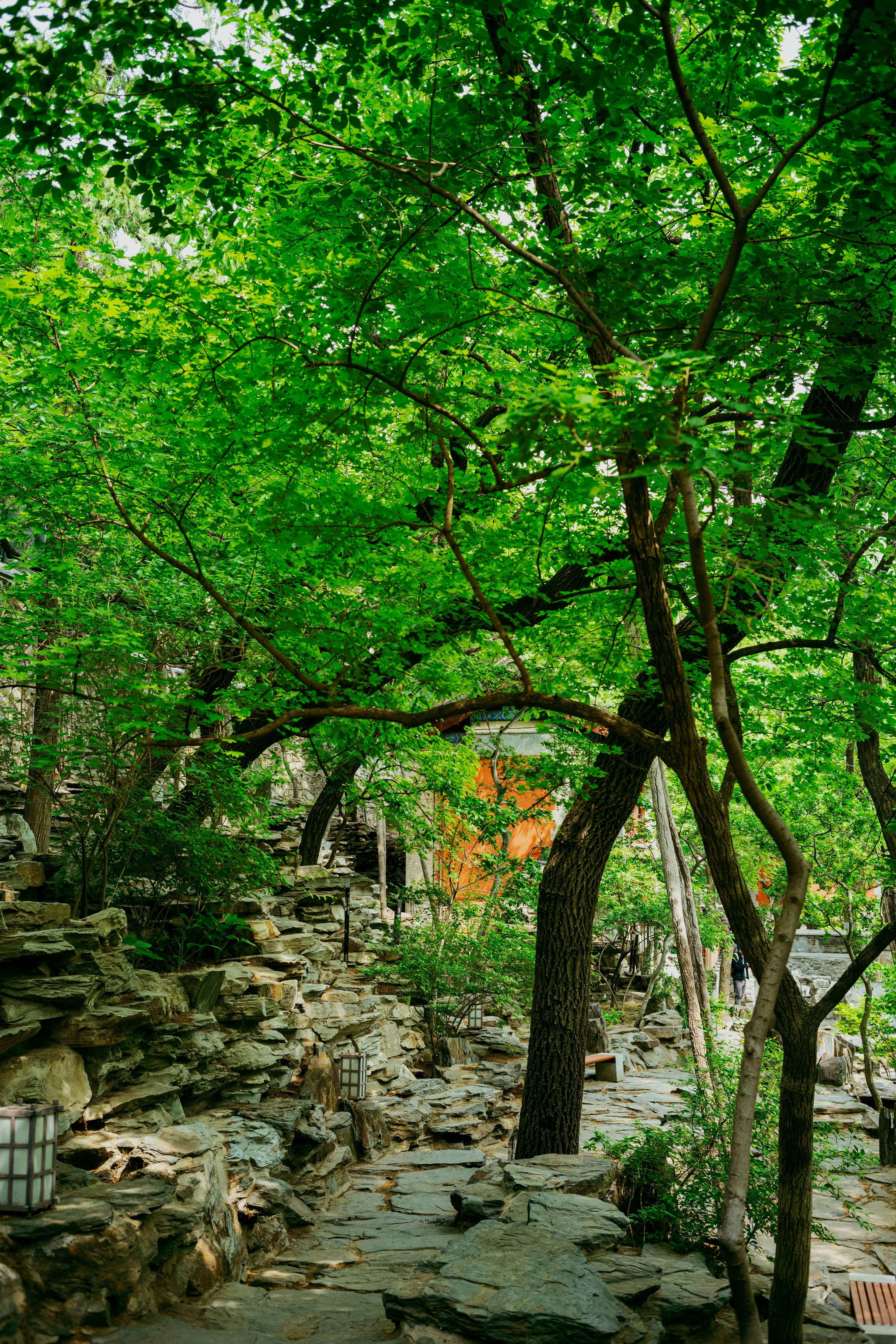 Photo by tommaomaoer