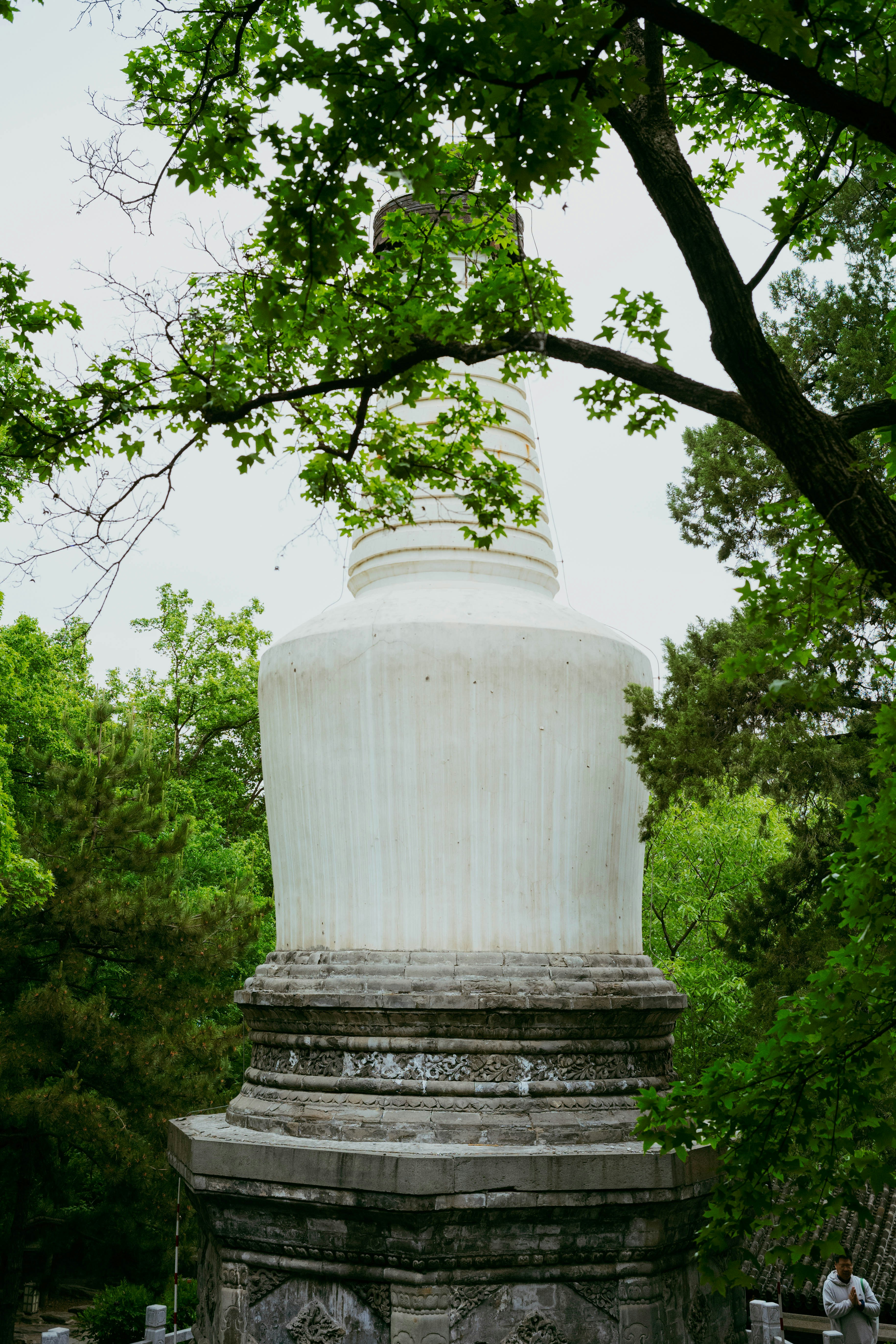 Photo by tommaomaoer