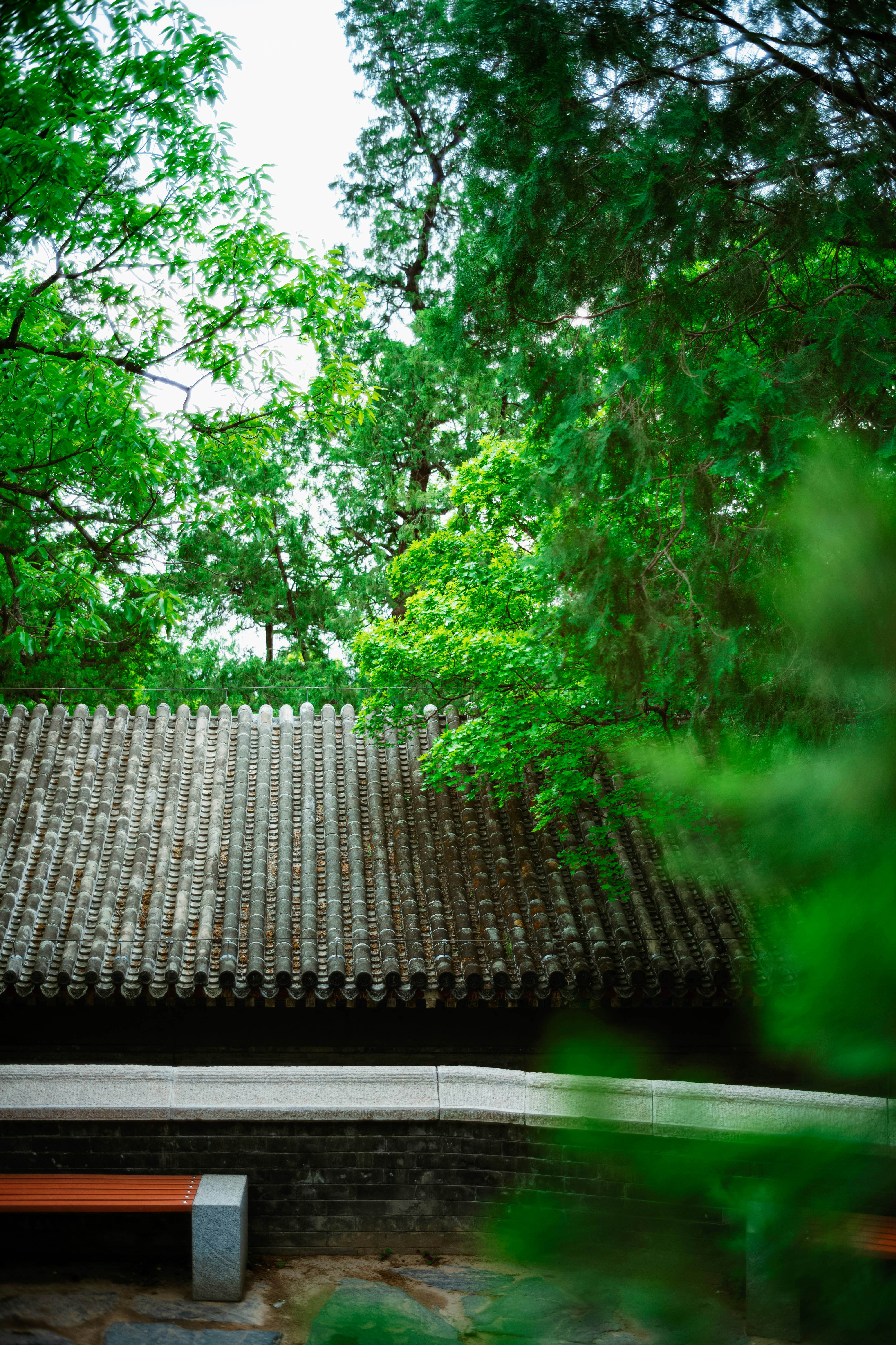 Photo by tommaomaoer