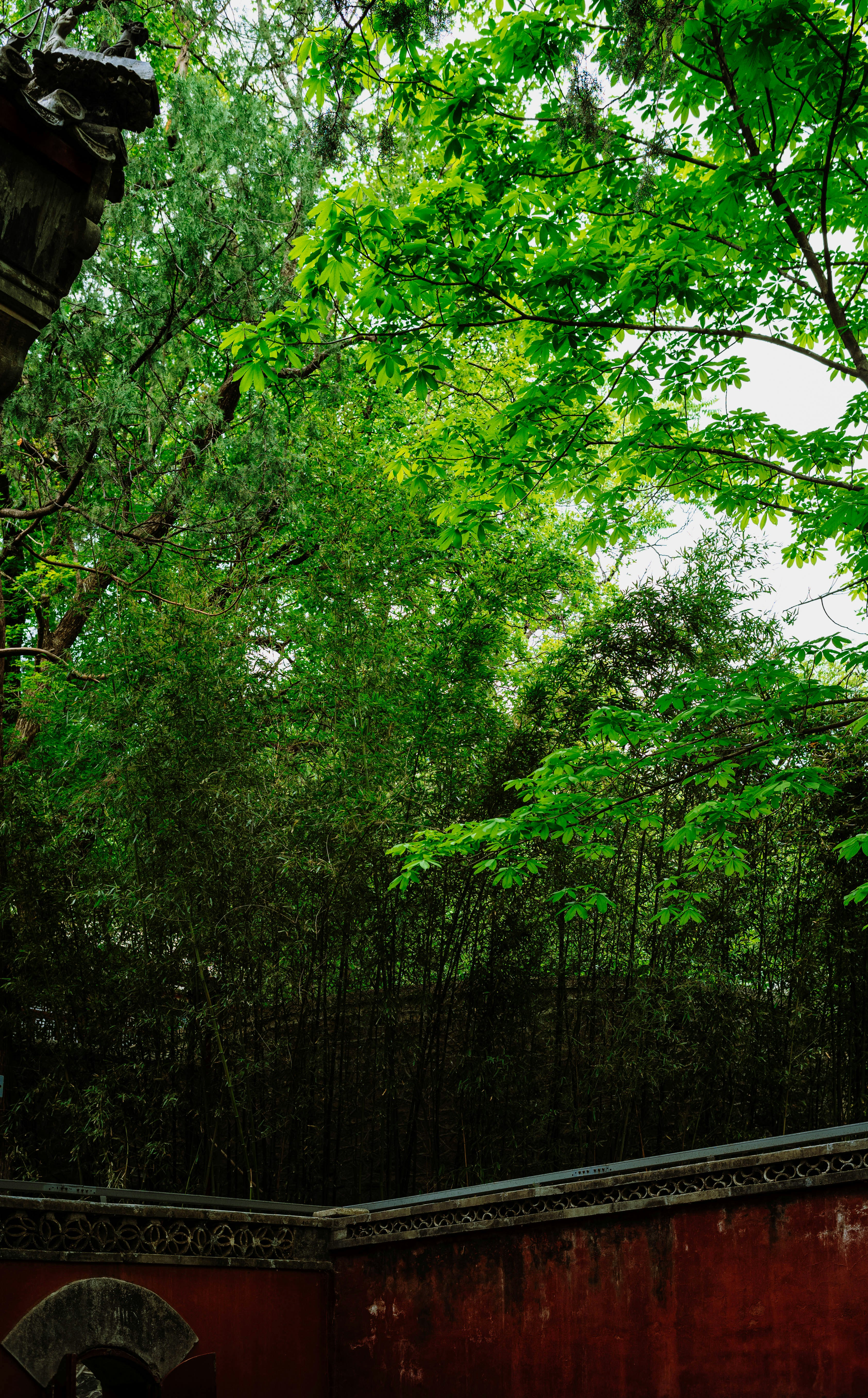 Photo by tommaomaoer