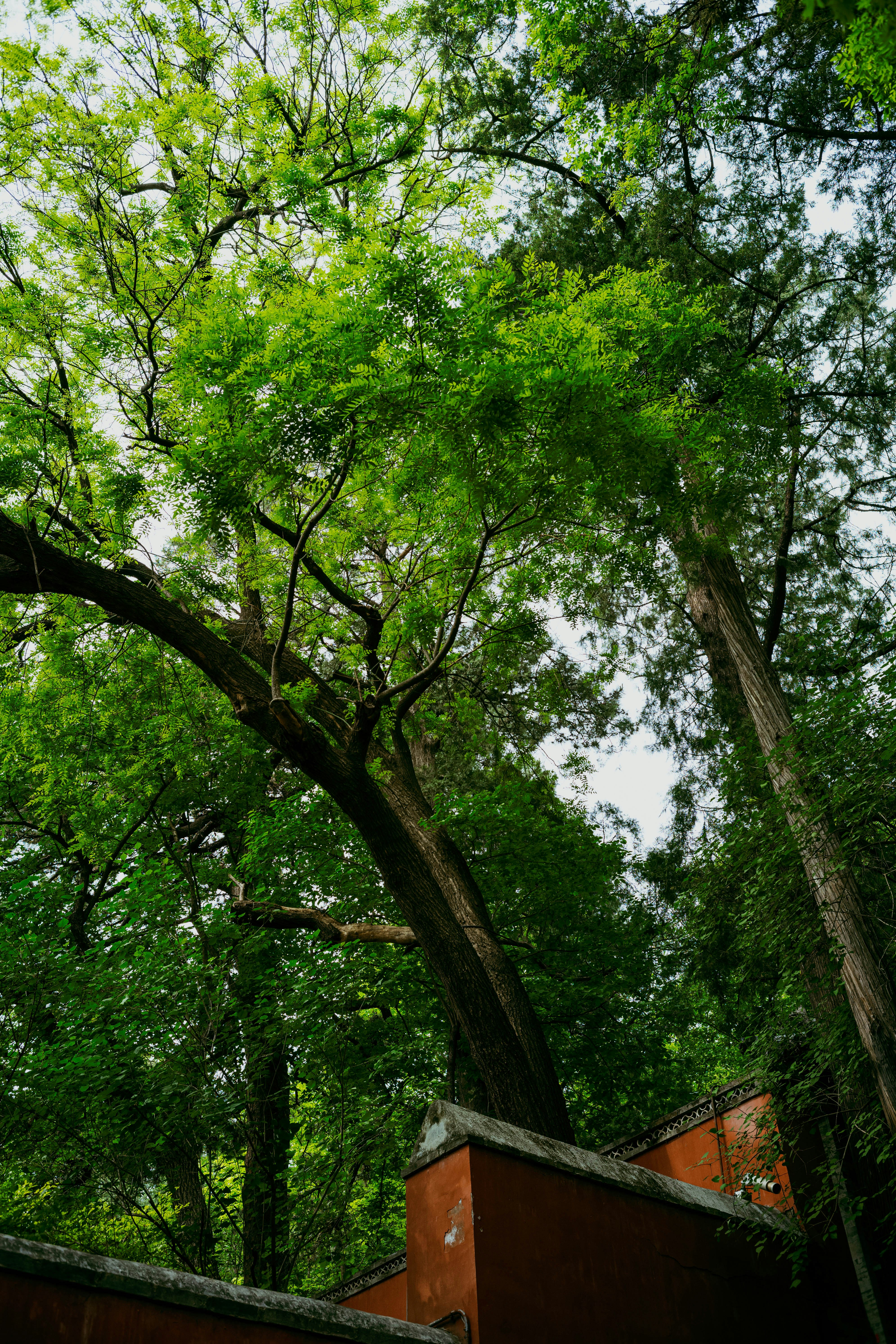 Photo by tommaomaoer