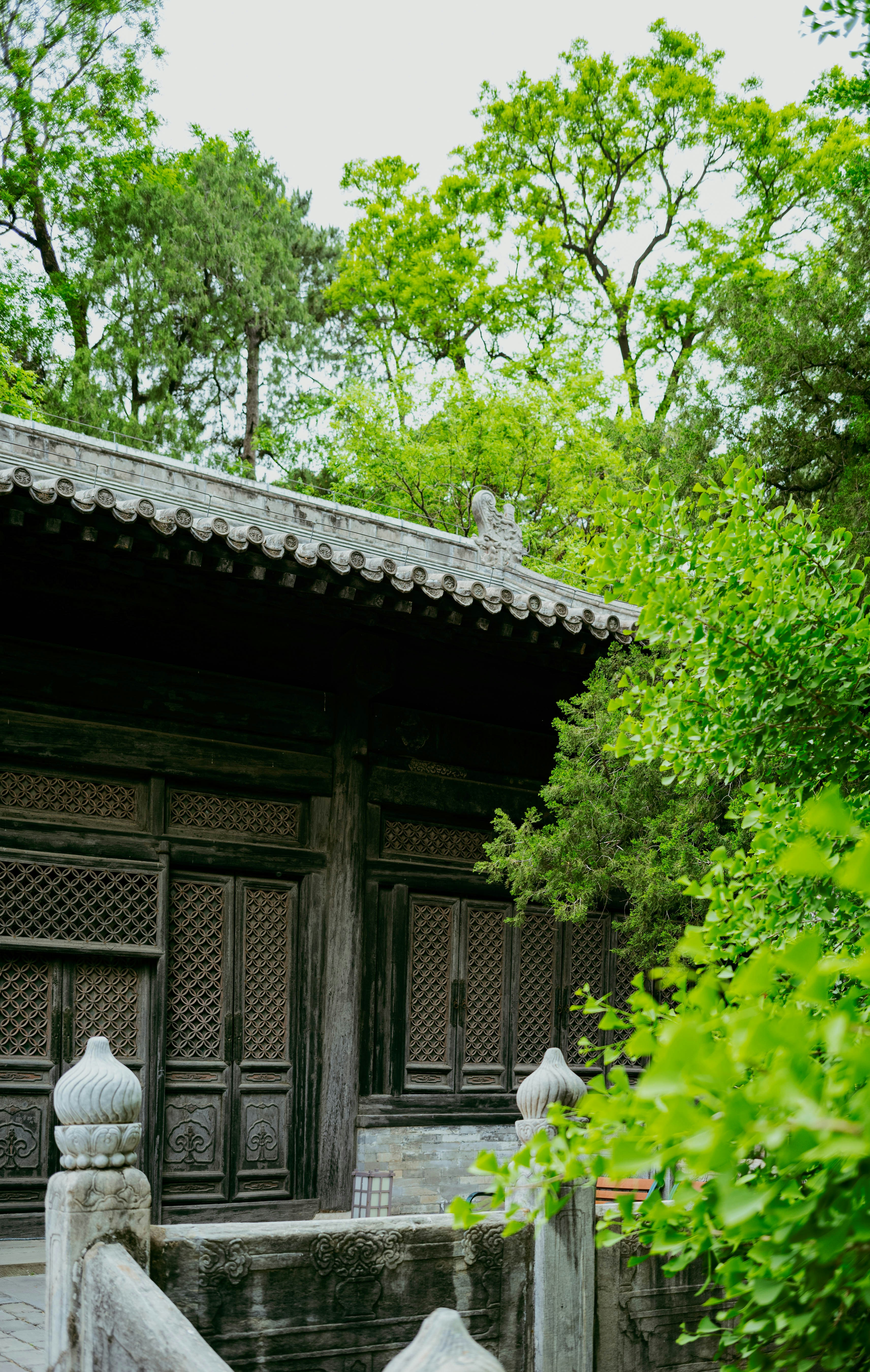 Photo by tommaomaoer