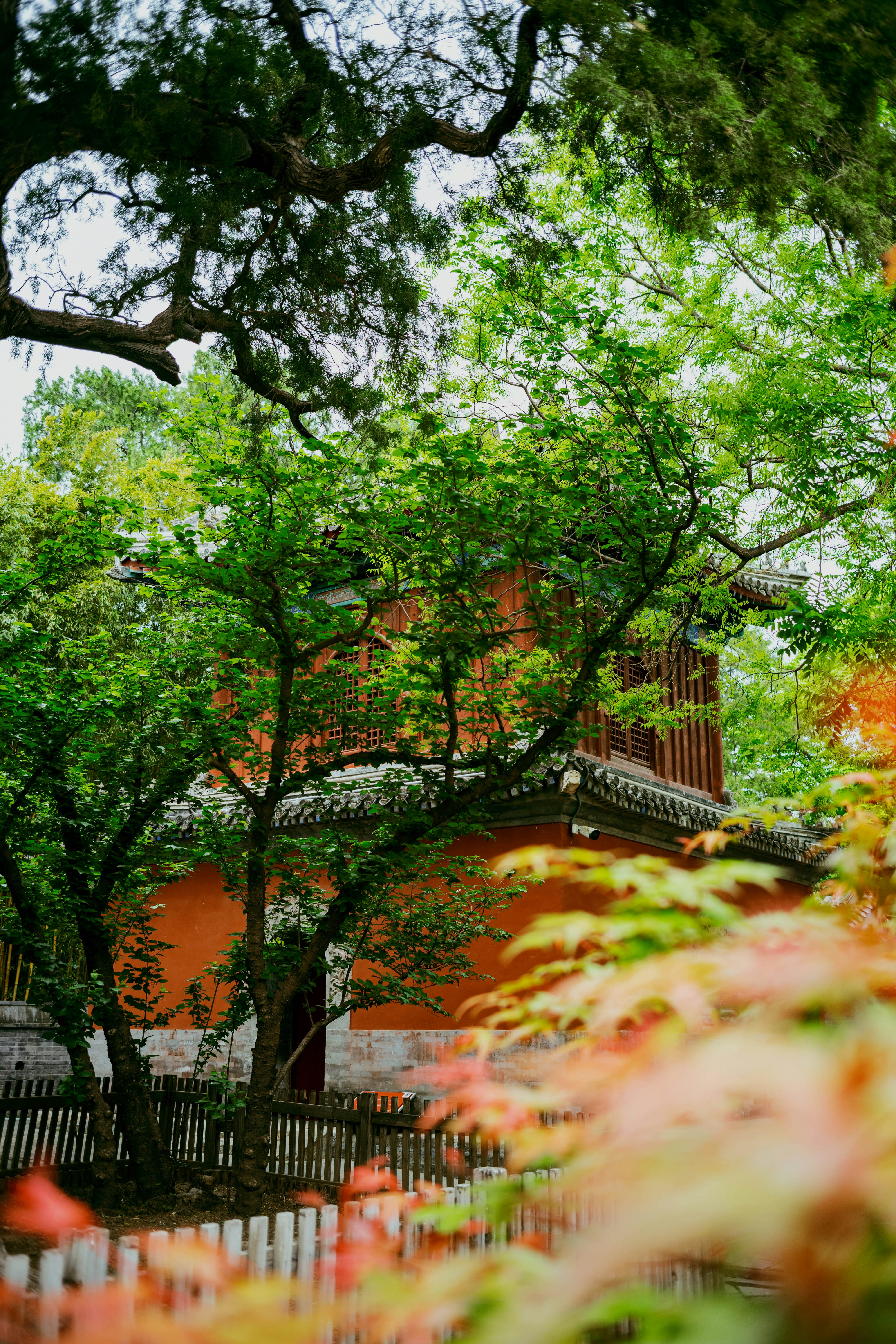 Photo by tommaomaoer