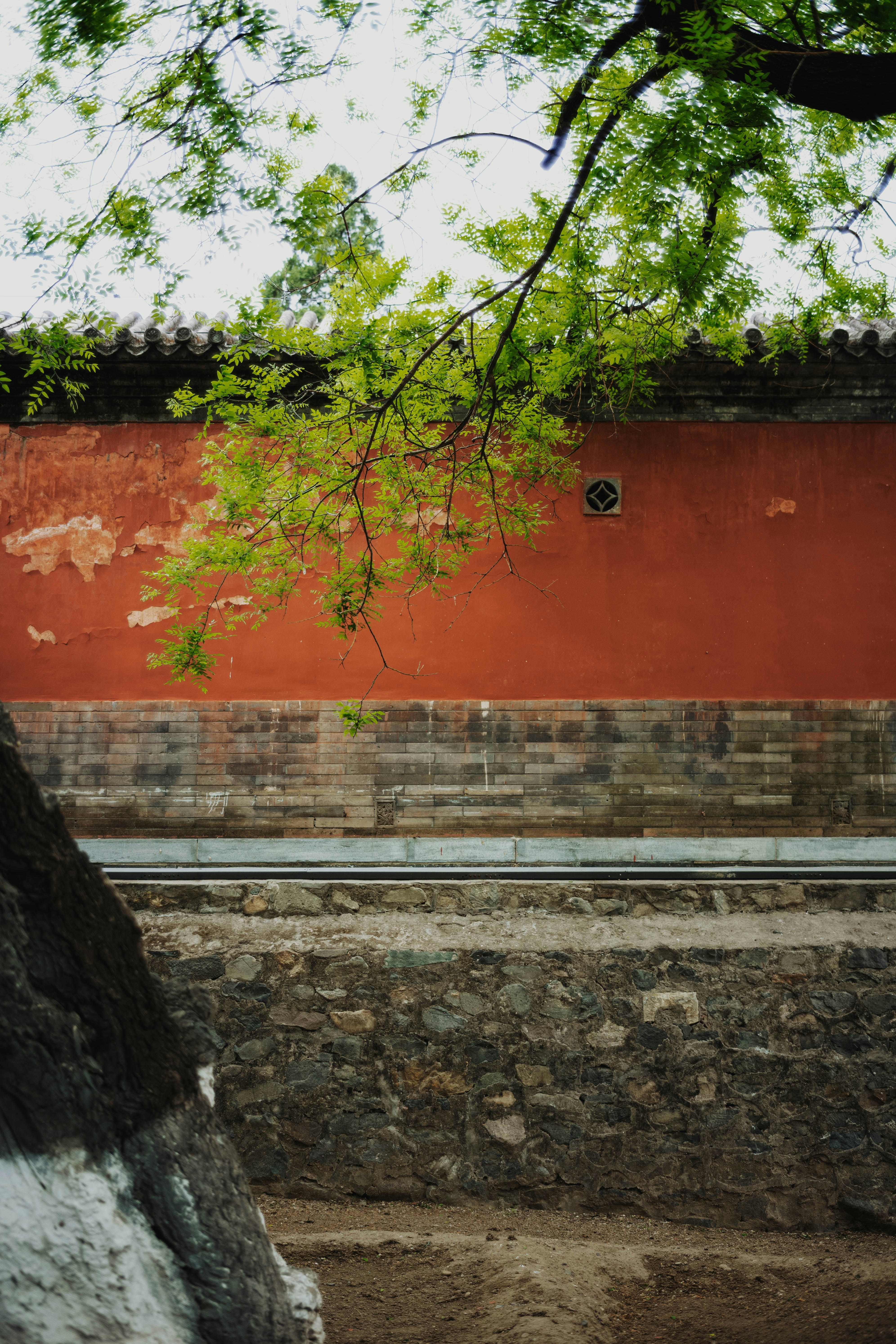 Photo by tommaomaoer