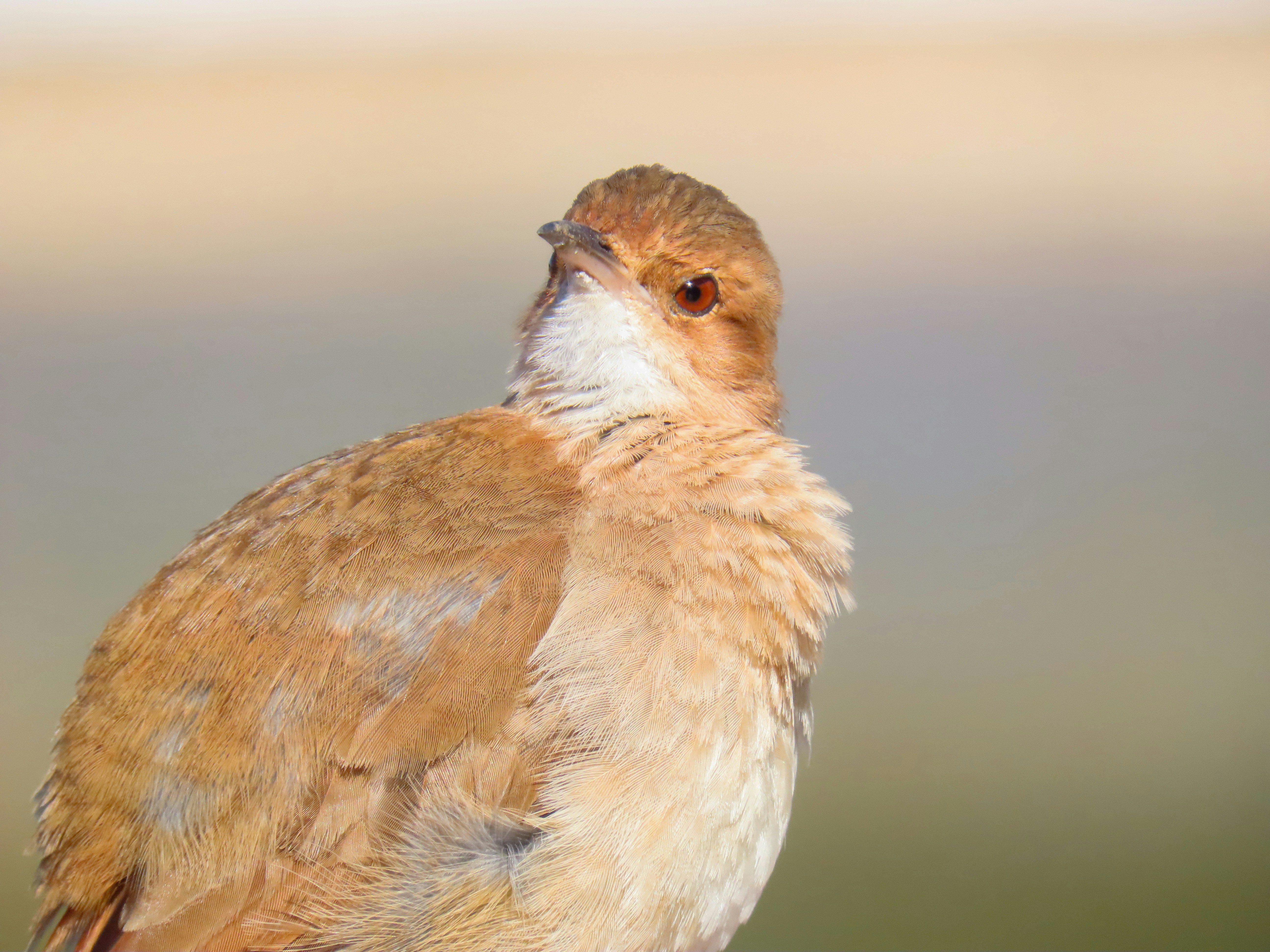 Photo by patricianicoloso