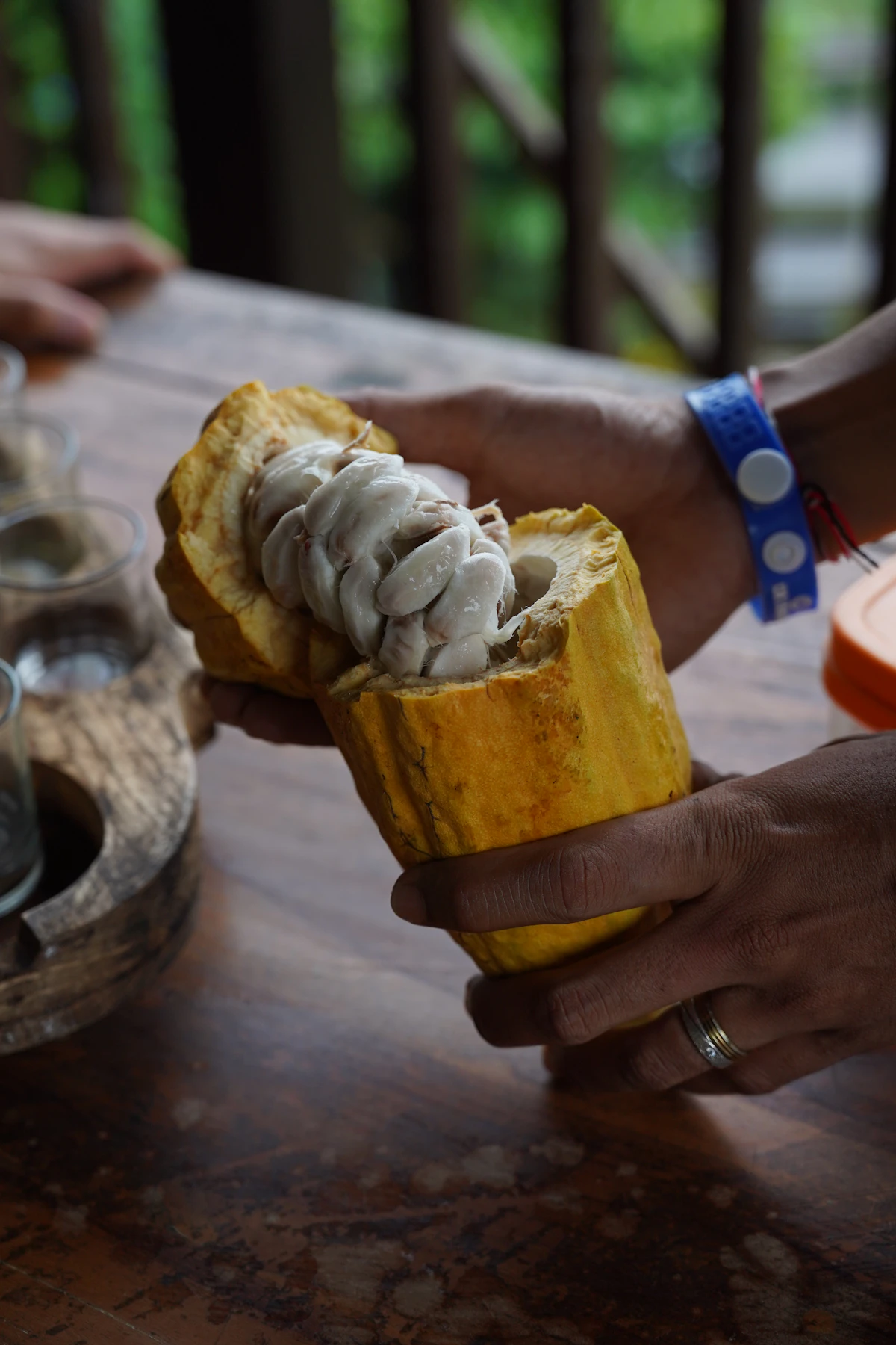 Raw Artisan Chocolate Making & Cacao Bean Masterclass