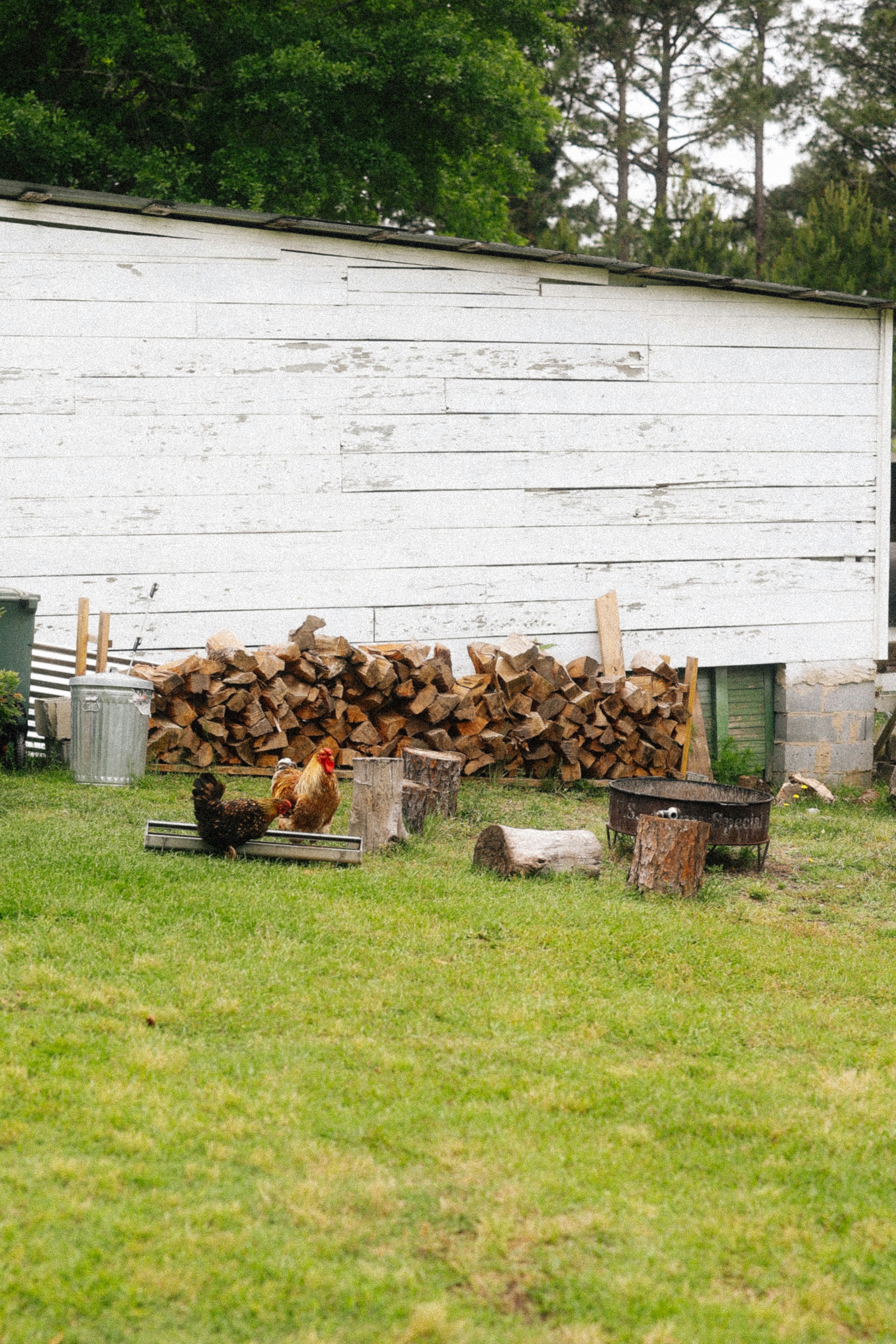 Photo by brookebalentine