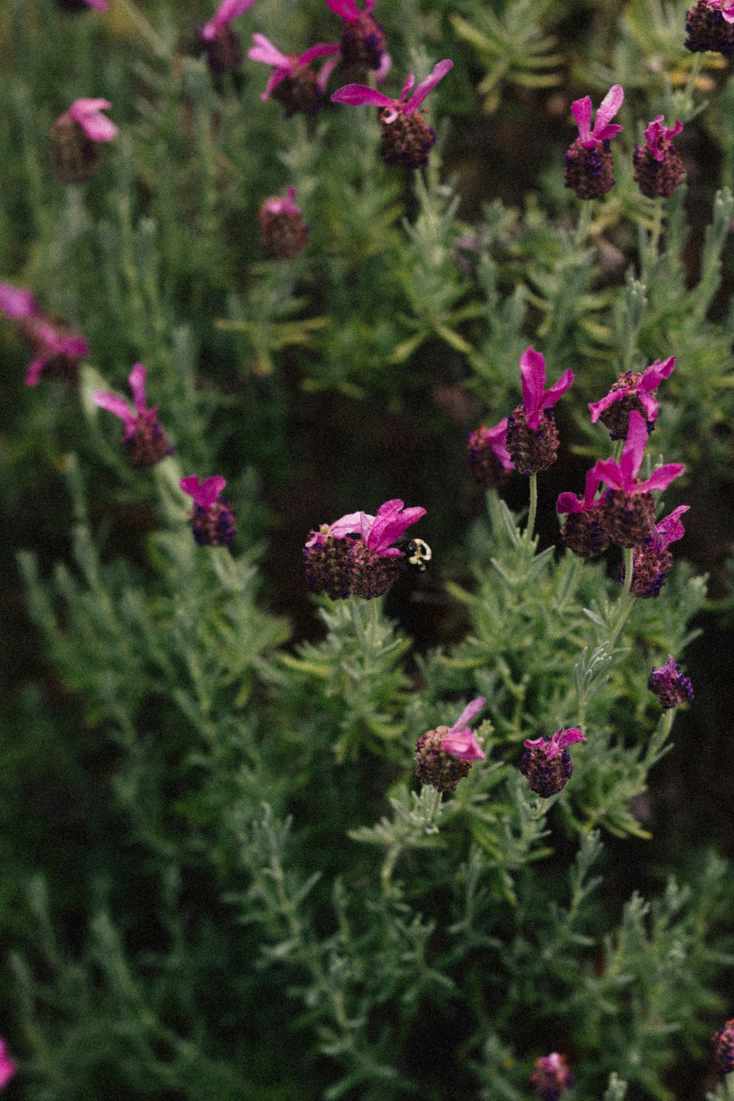 Photo by brookebalentine