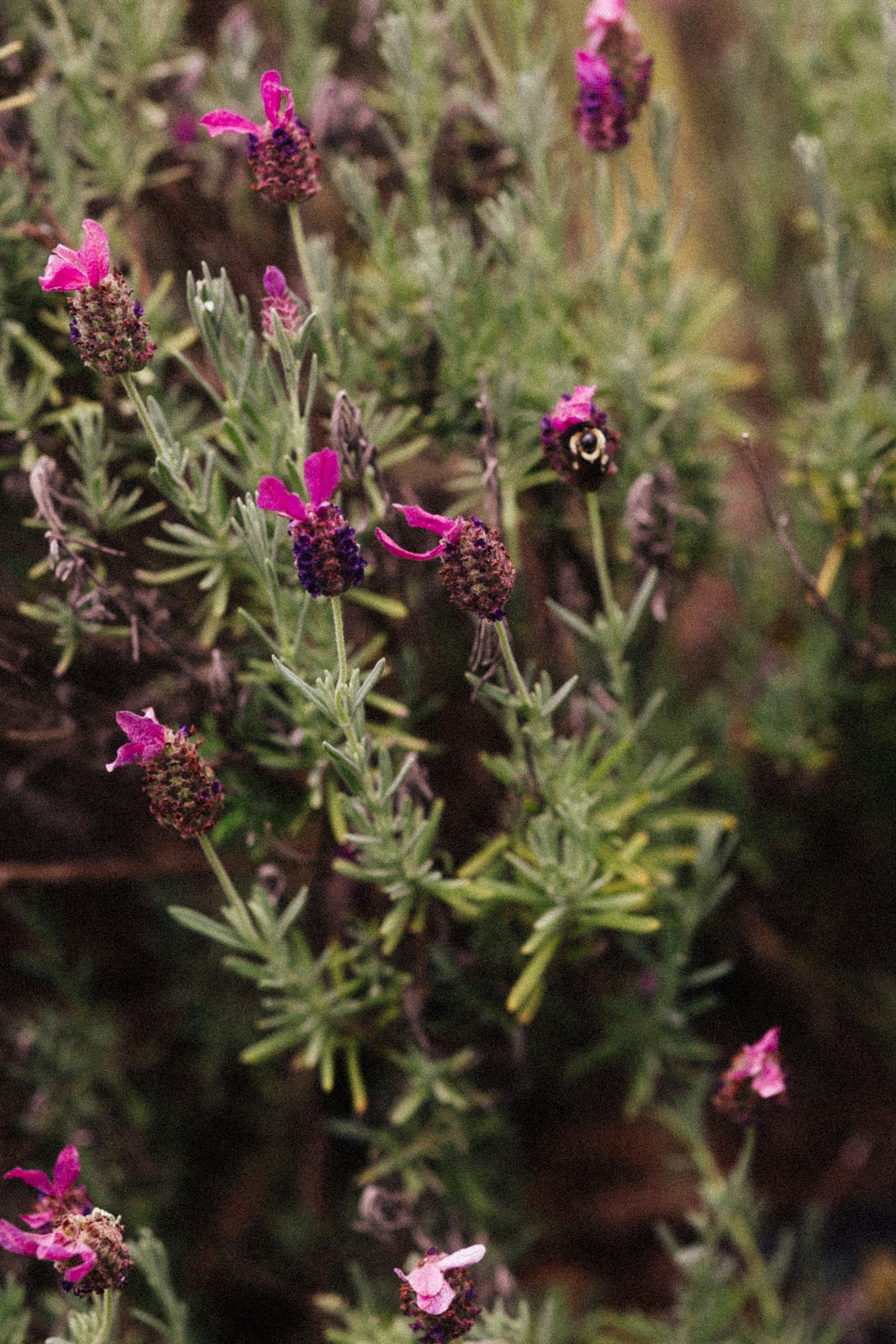 Photo by brookebalentine