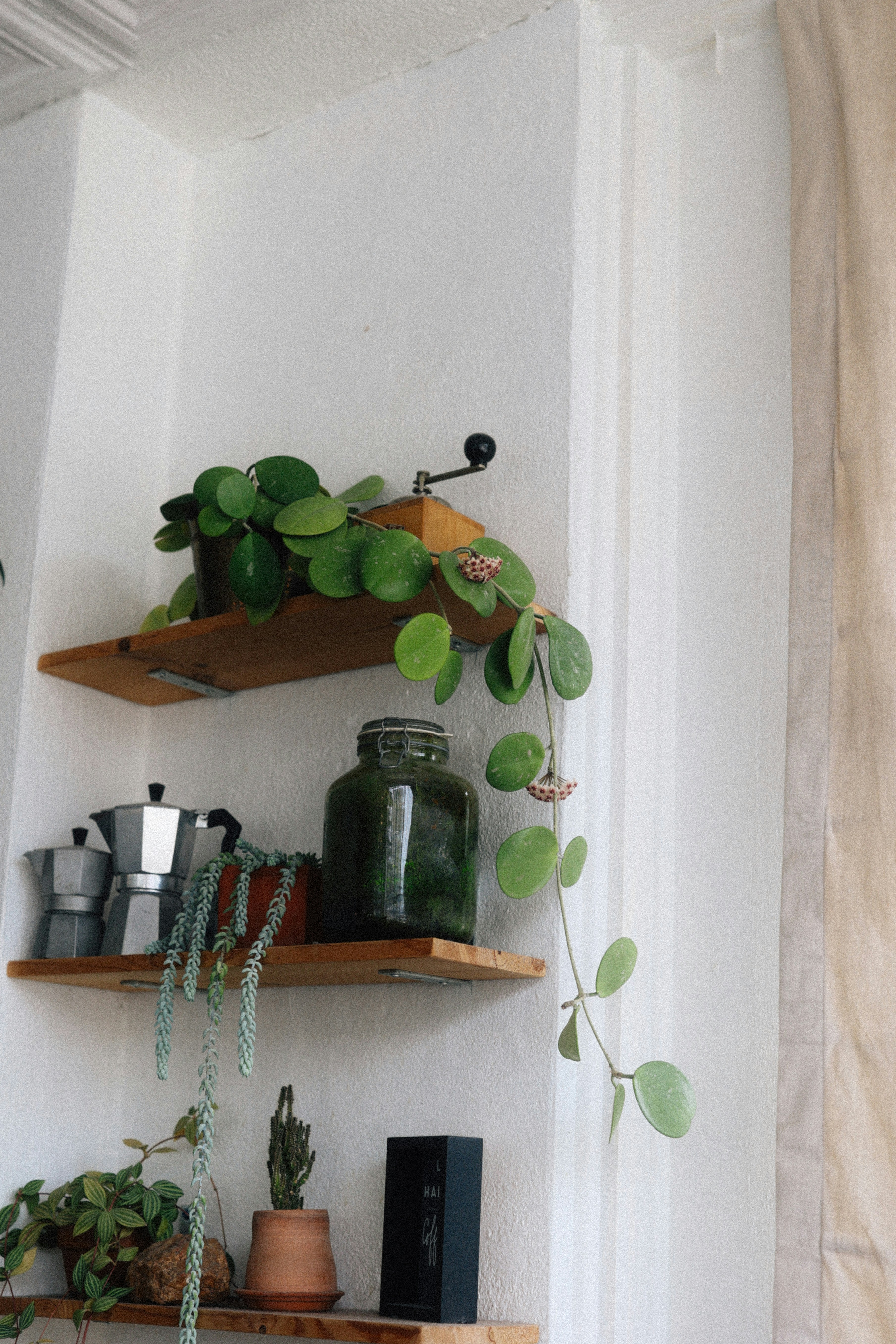 Photo by brookebalentine