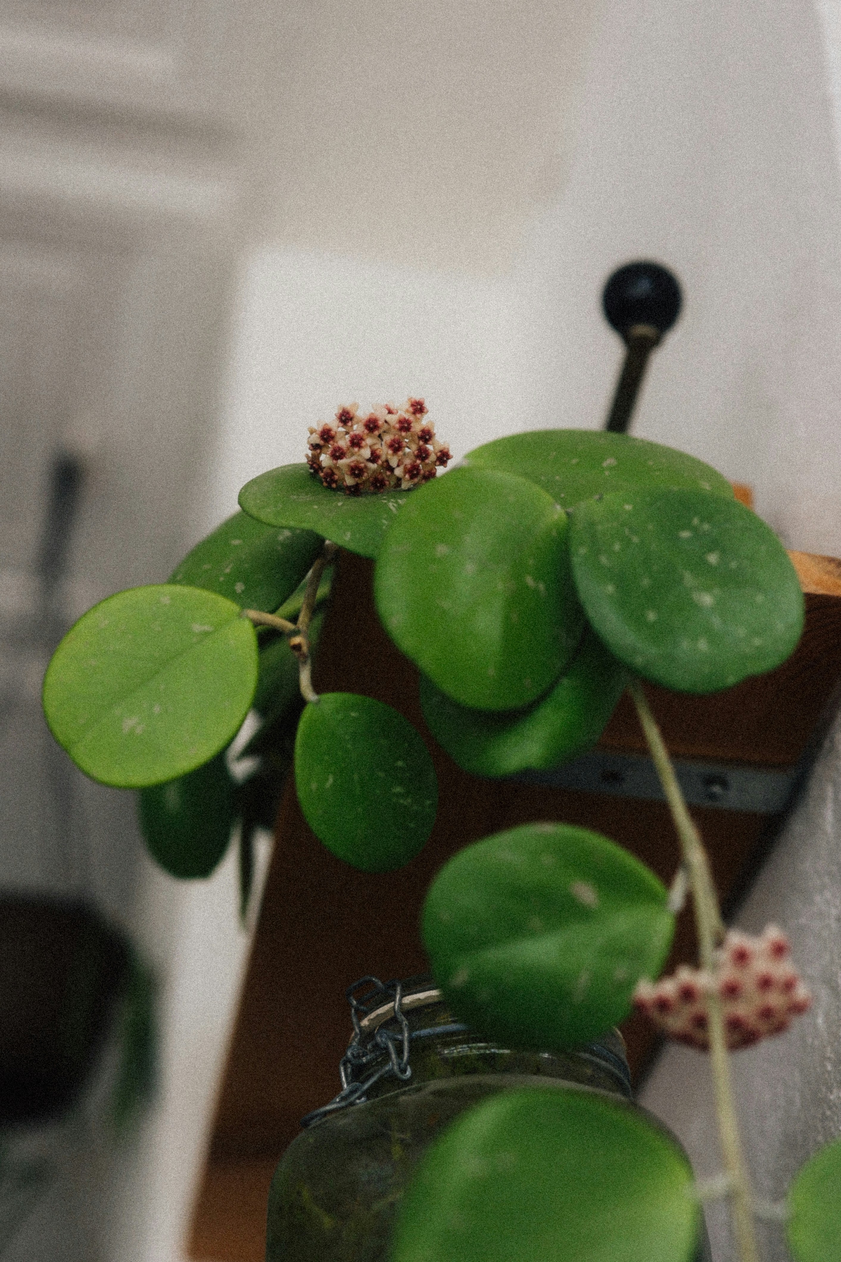 Photo by brookebalentine