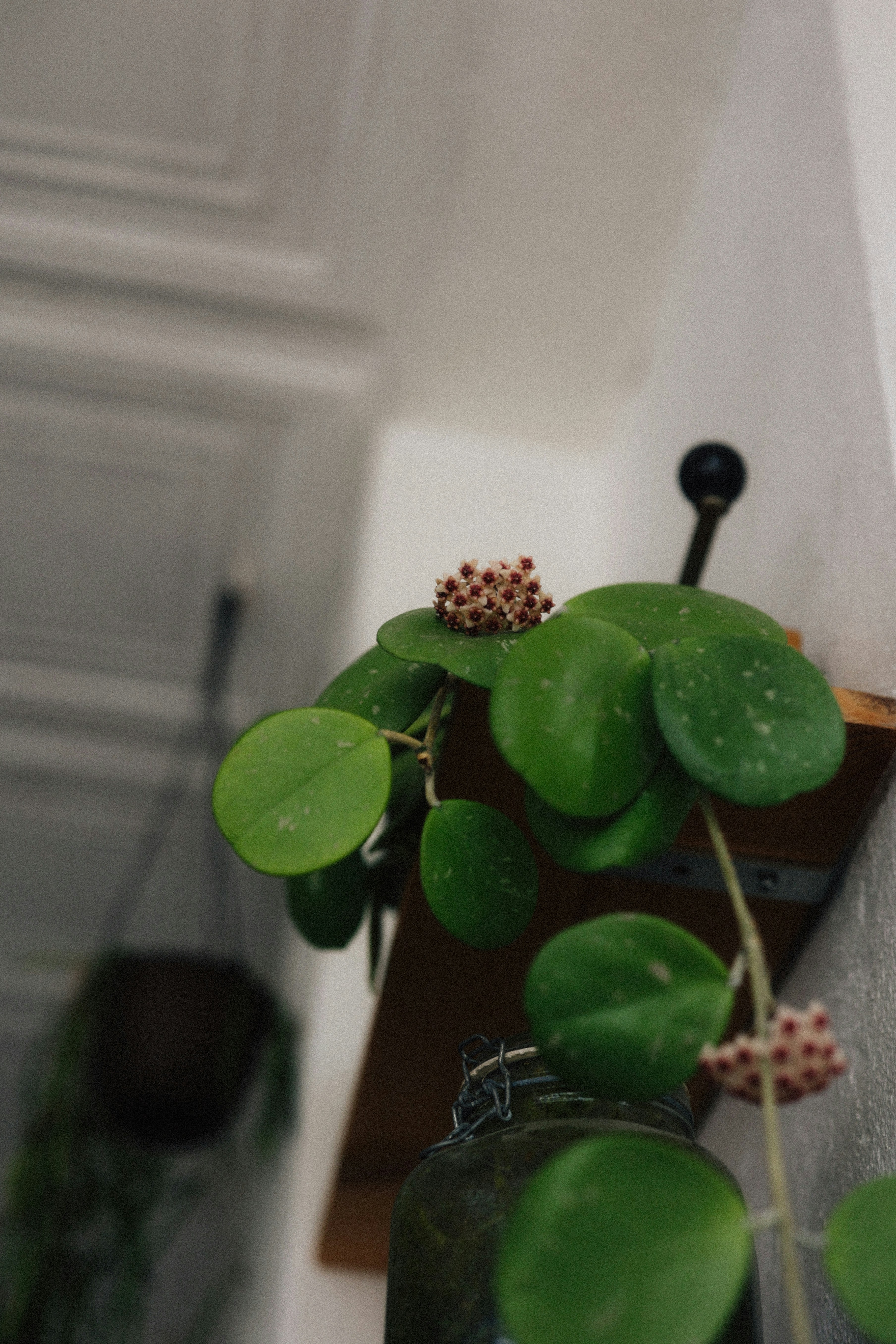 Photo by brookebalentine