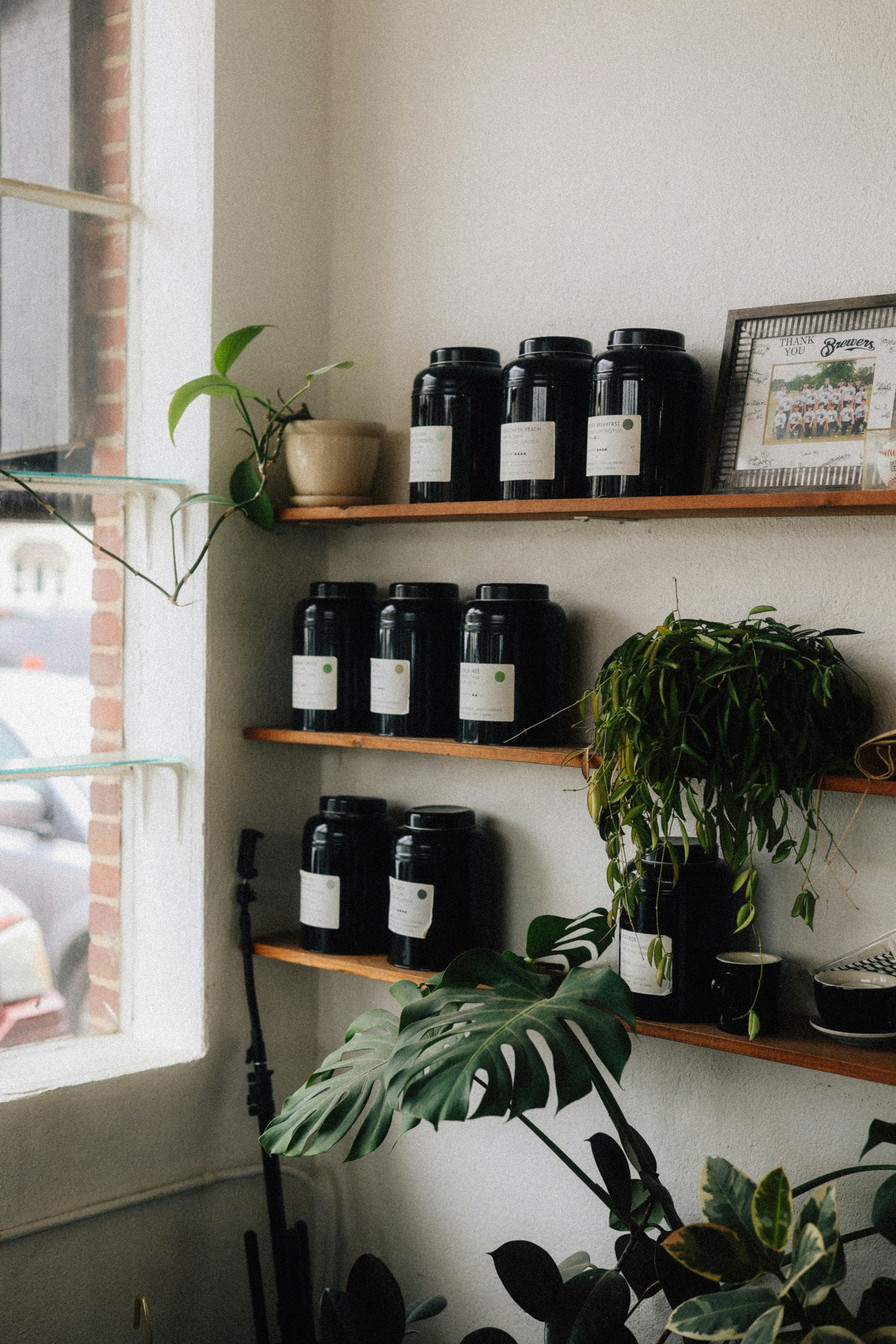 Photo by brookebalentine