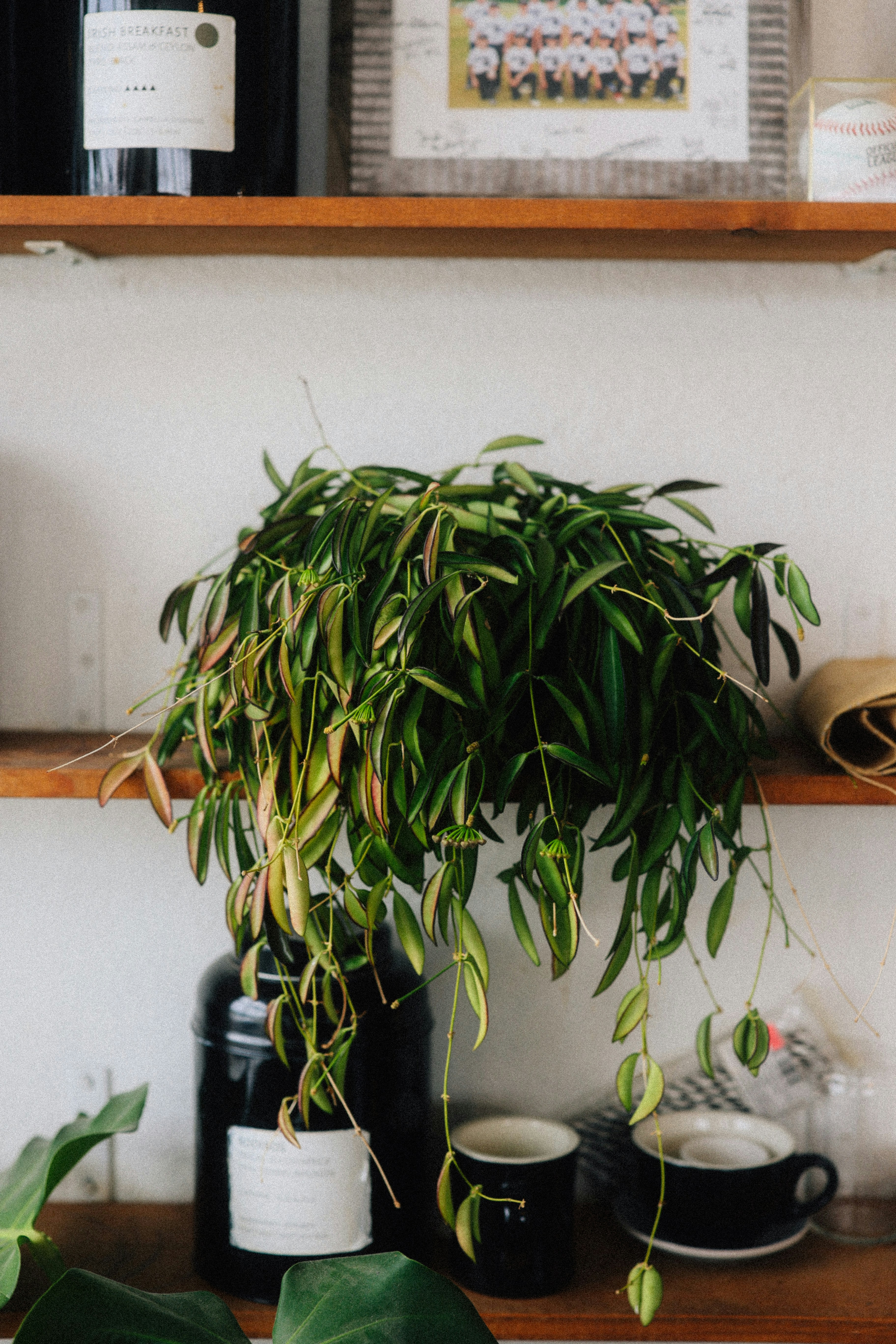 Photo by brookebalentine