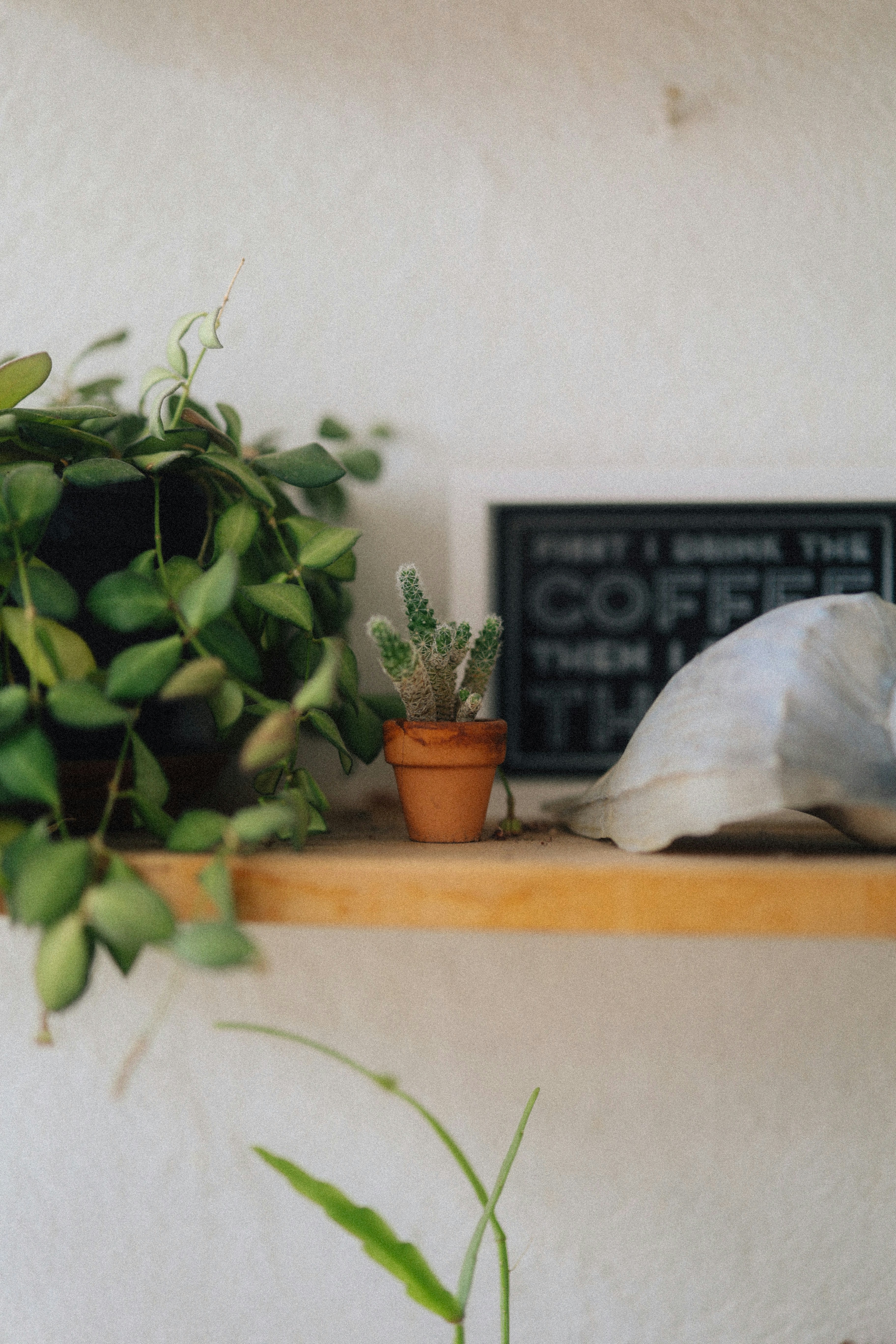 Photo by brookebalentine