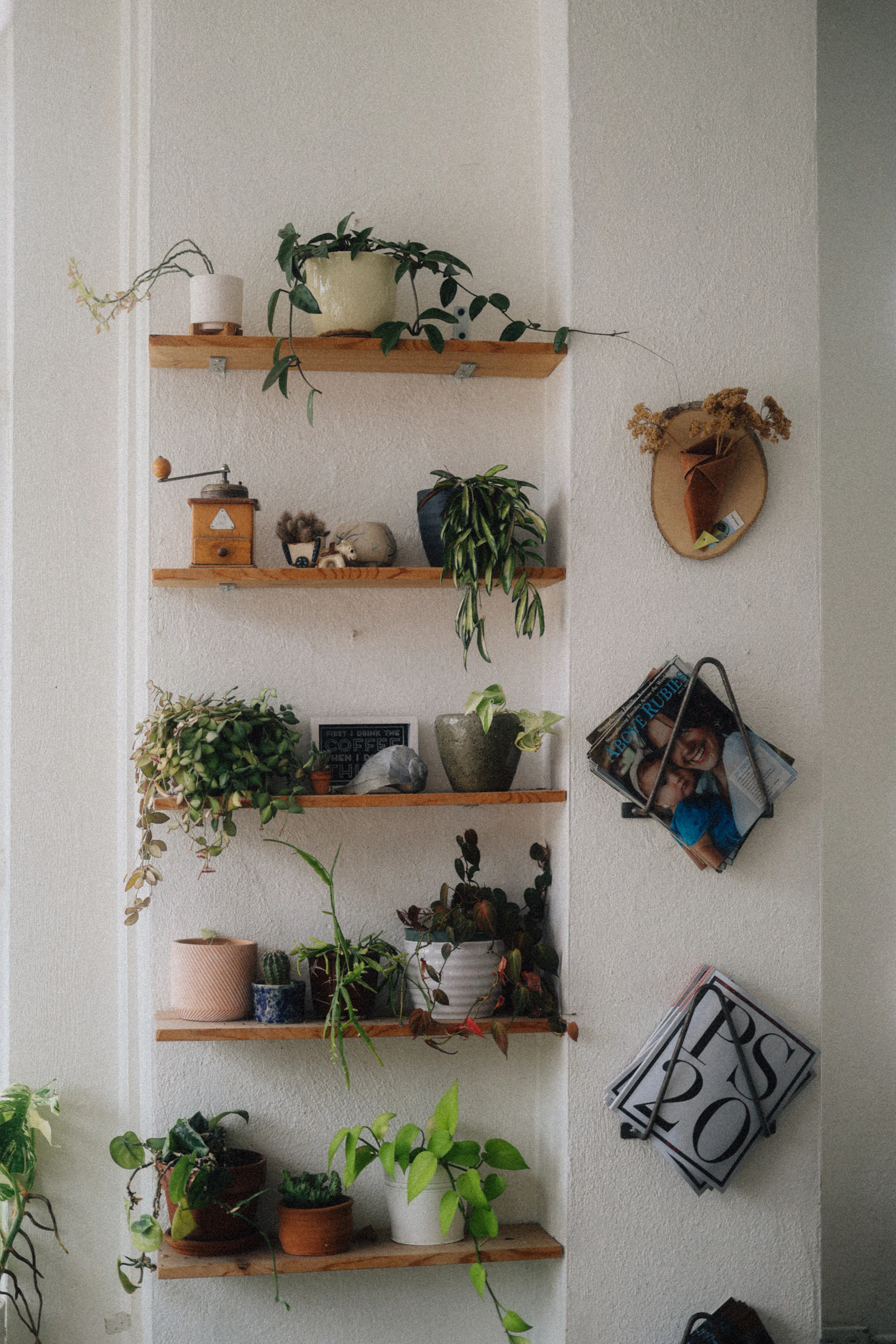 Floating wall shelves styled with plants and decor against a white wall