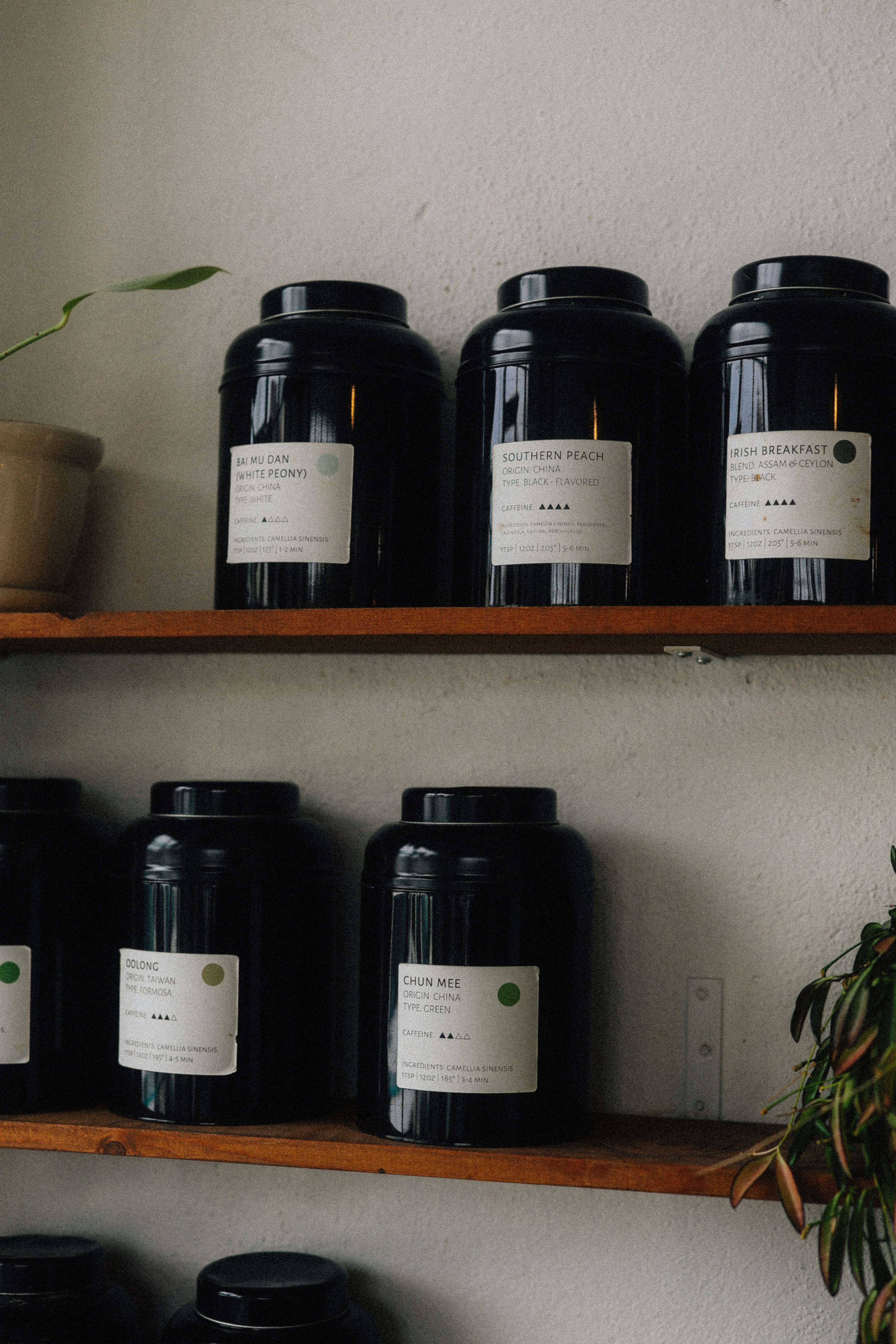 Photo by brookebalentine