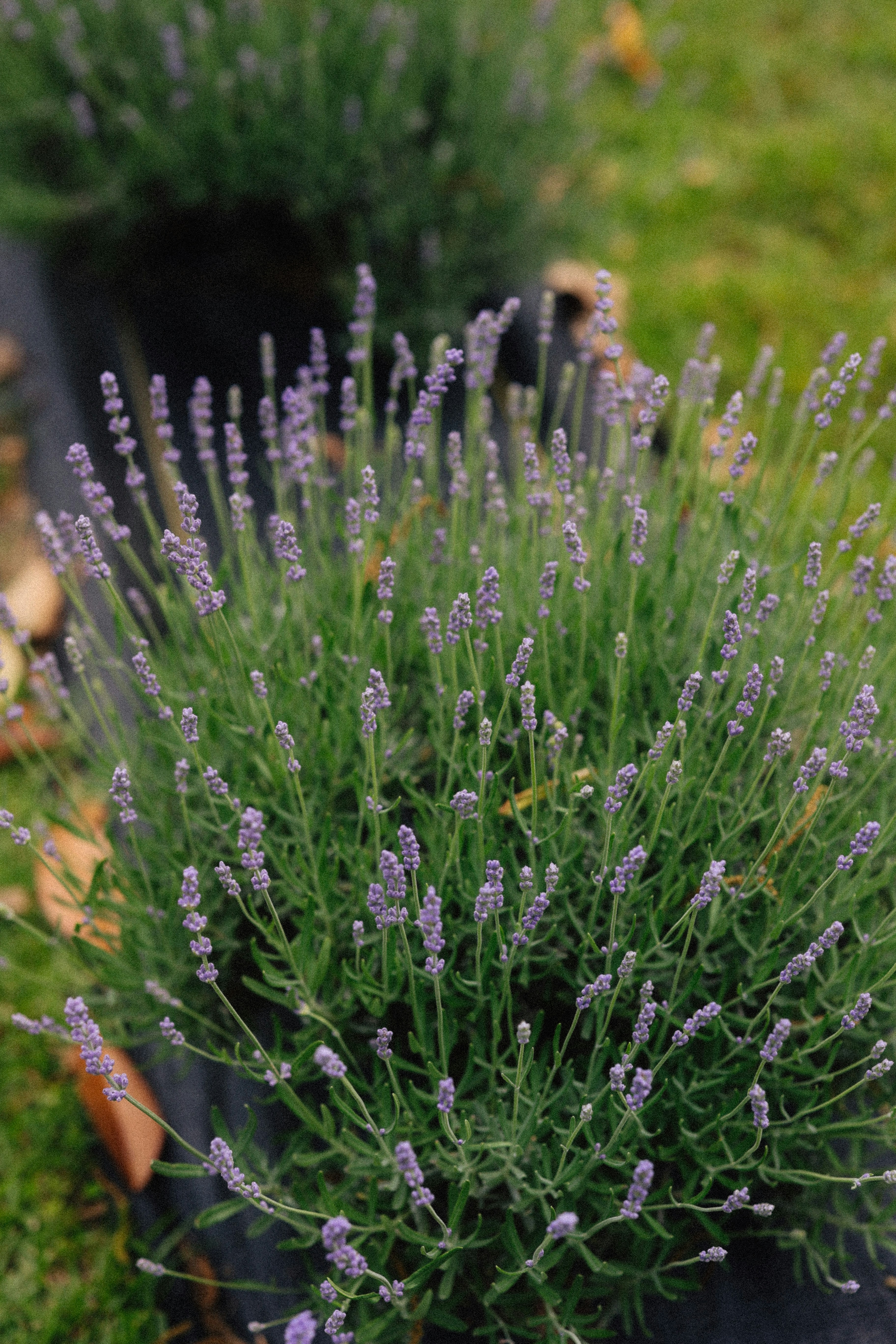 Photo by brookebalentine