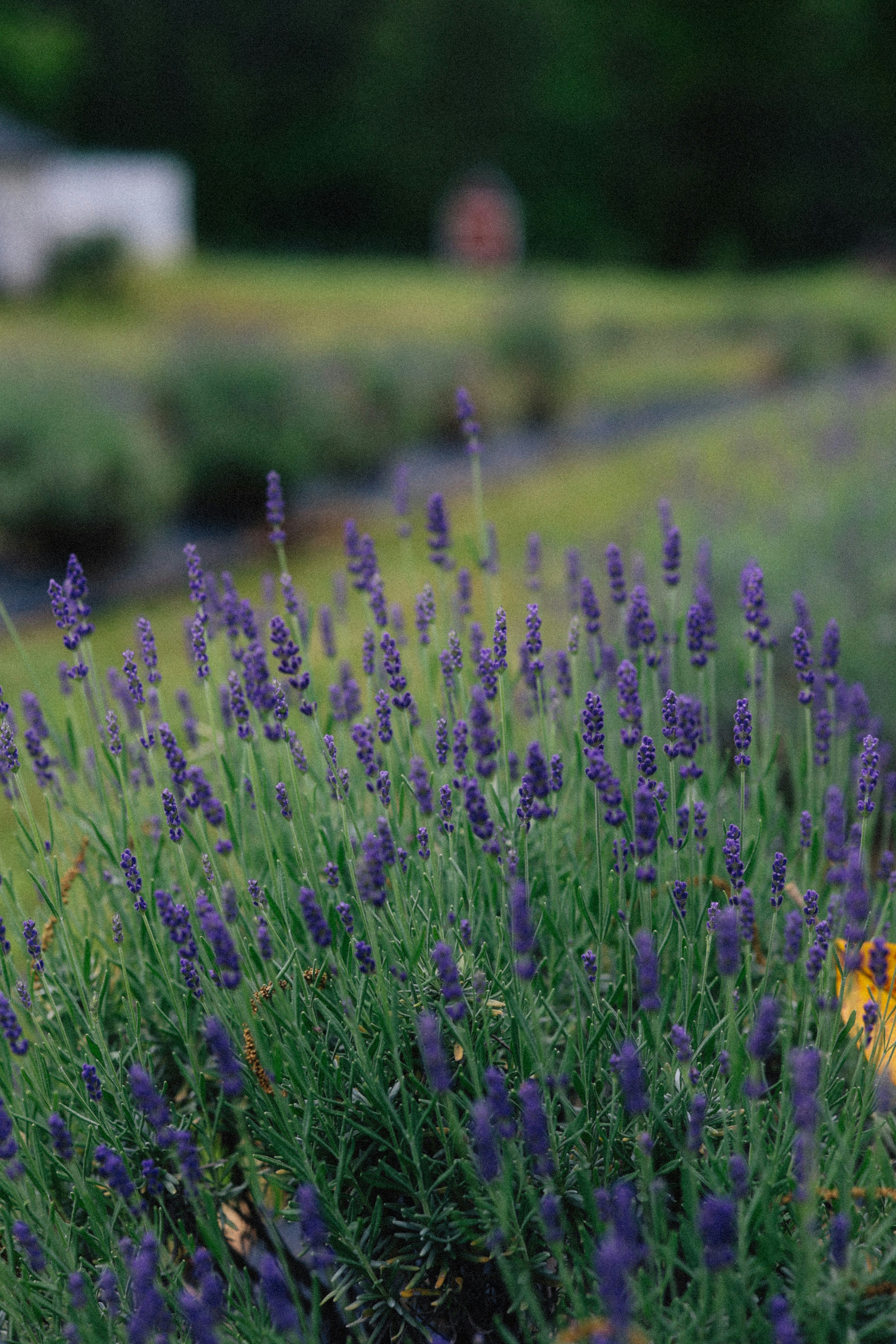 Photo by brookebalentine